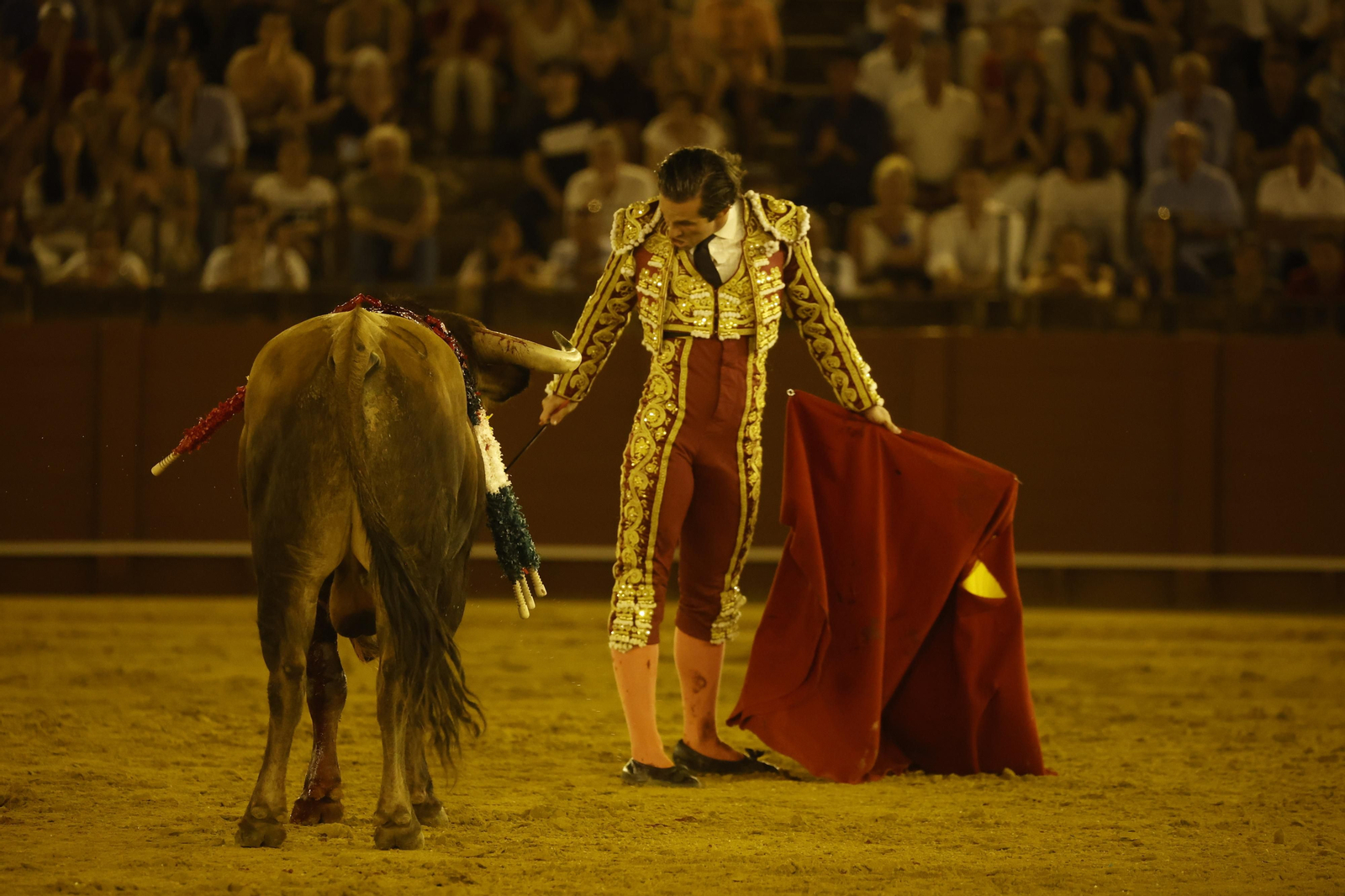 Las imágenes de la novillada en la Maestranza