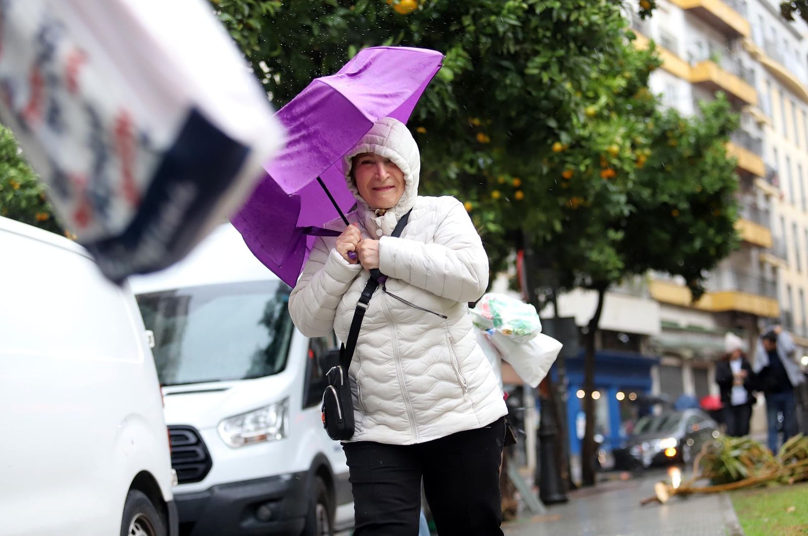 Imágenes del lunes 5 de diciembre en Huelva