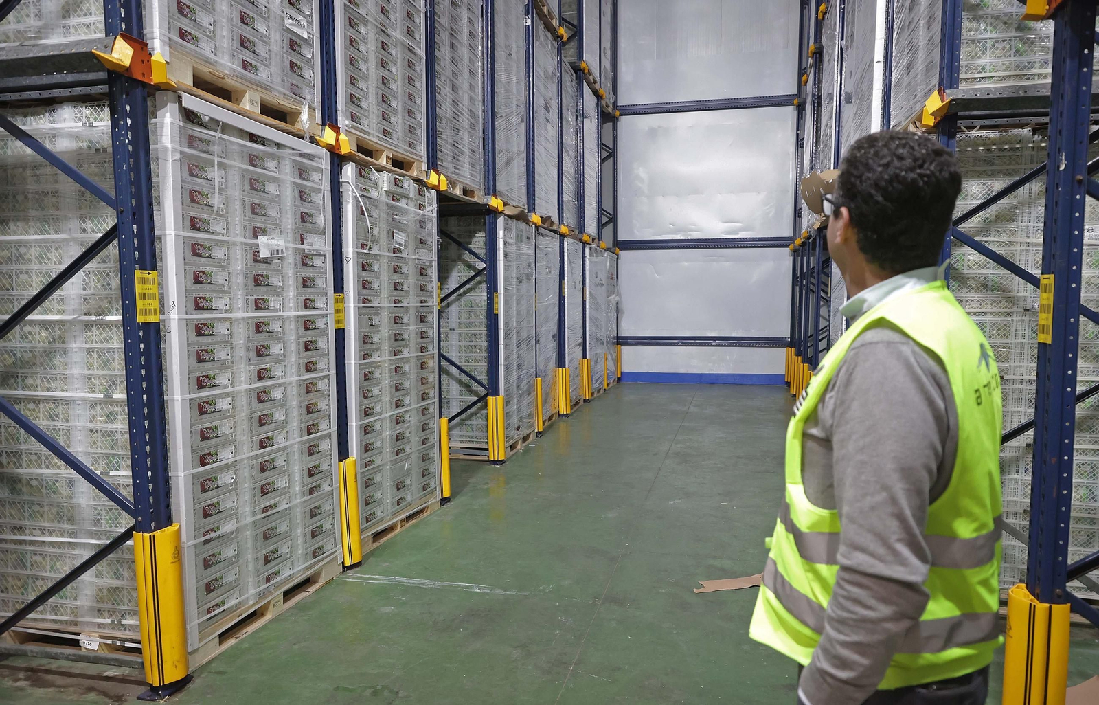 Fotos de la visita a la empresa Americold en el Puerto de Algeciras