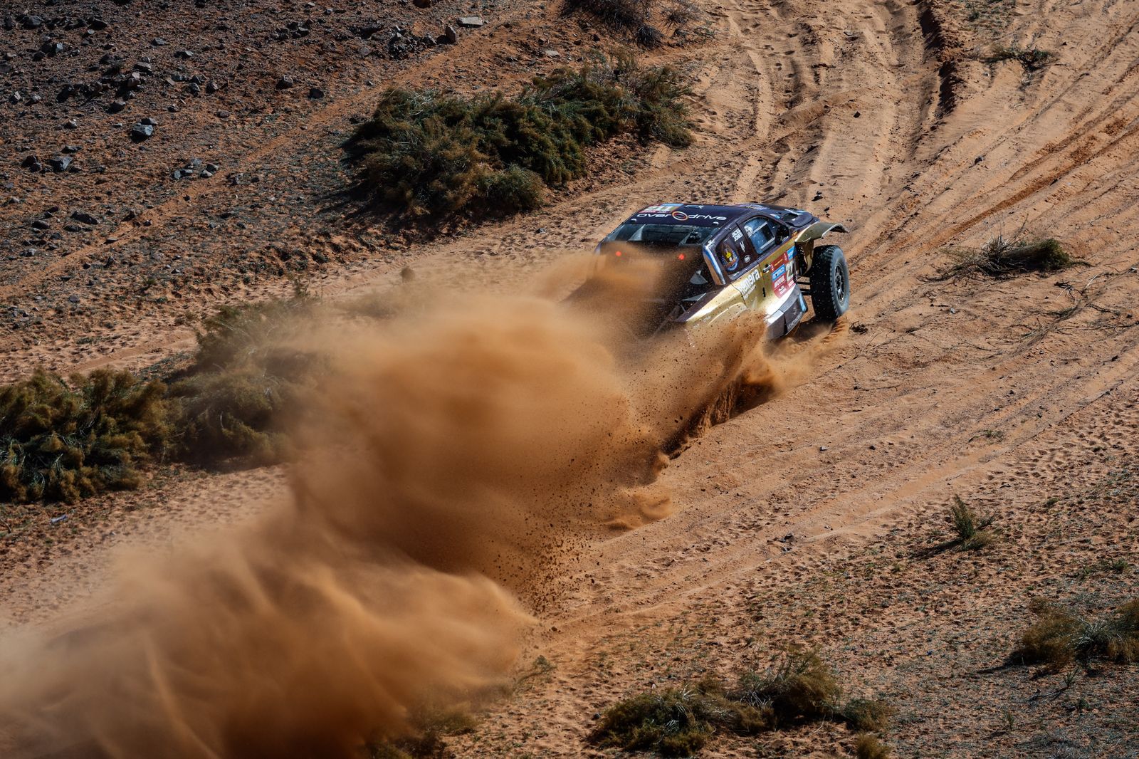 La etapa 9 del Rally Dakar, en fotos