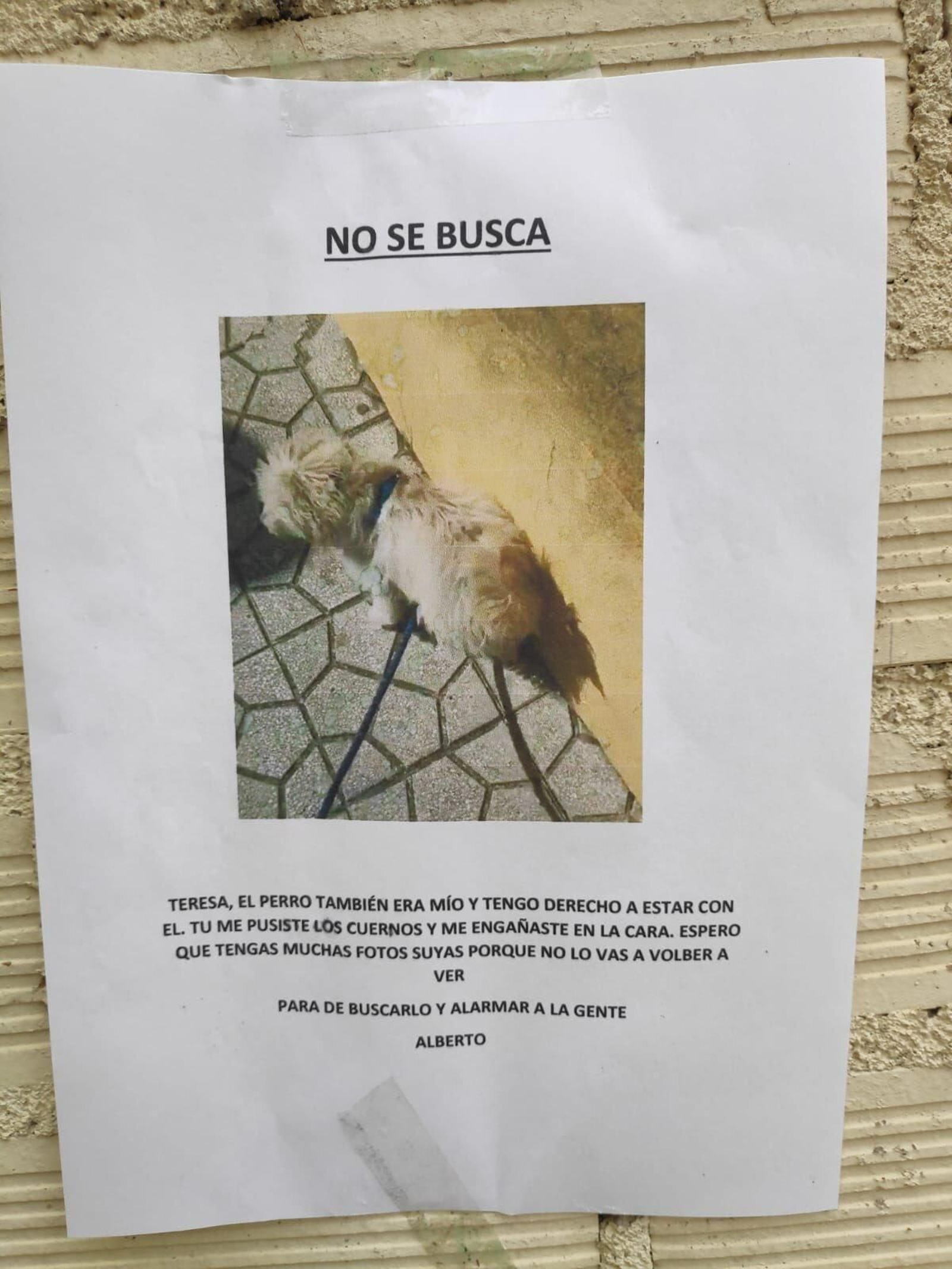 no se busca