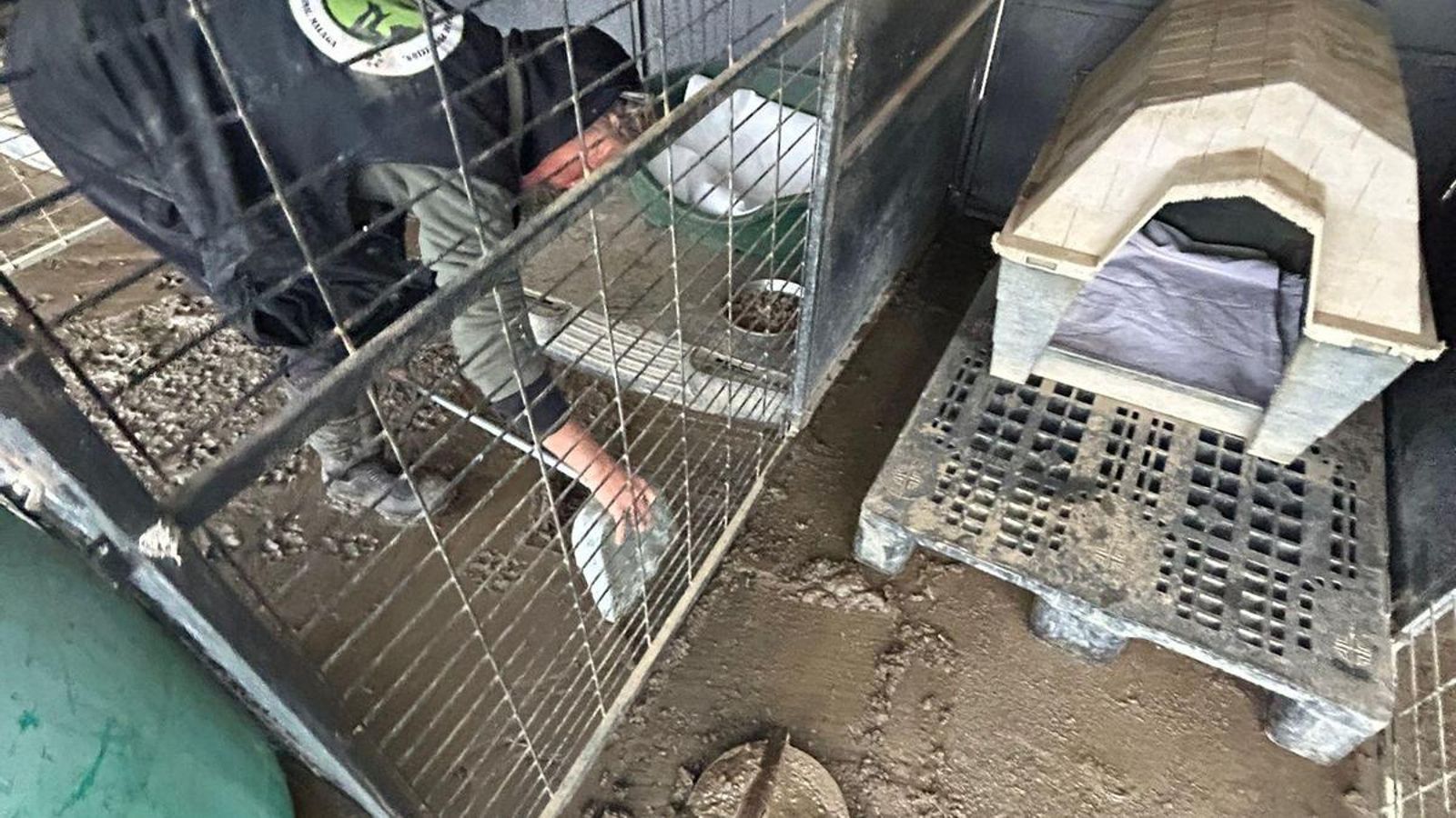 Voluntario trabaja en el refugio de Moclinejo