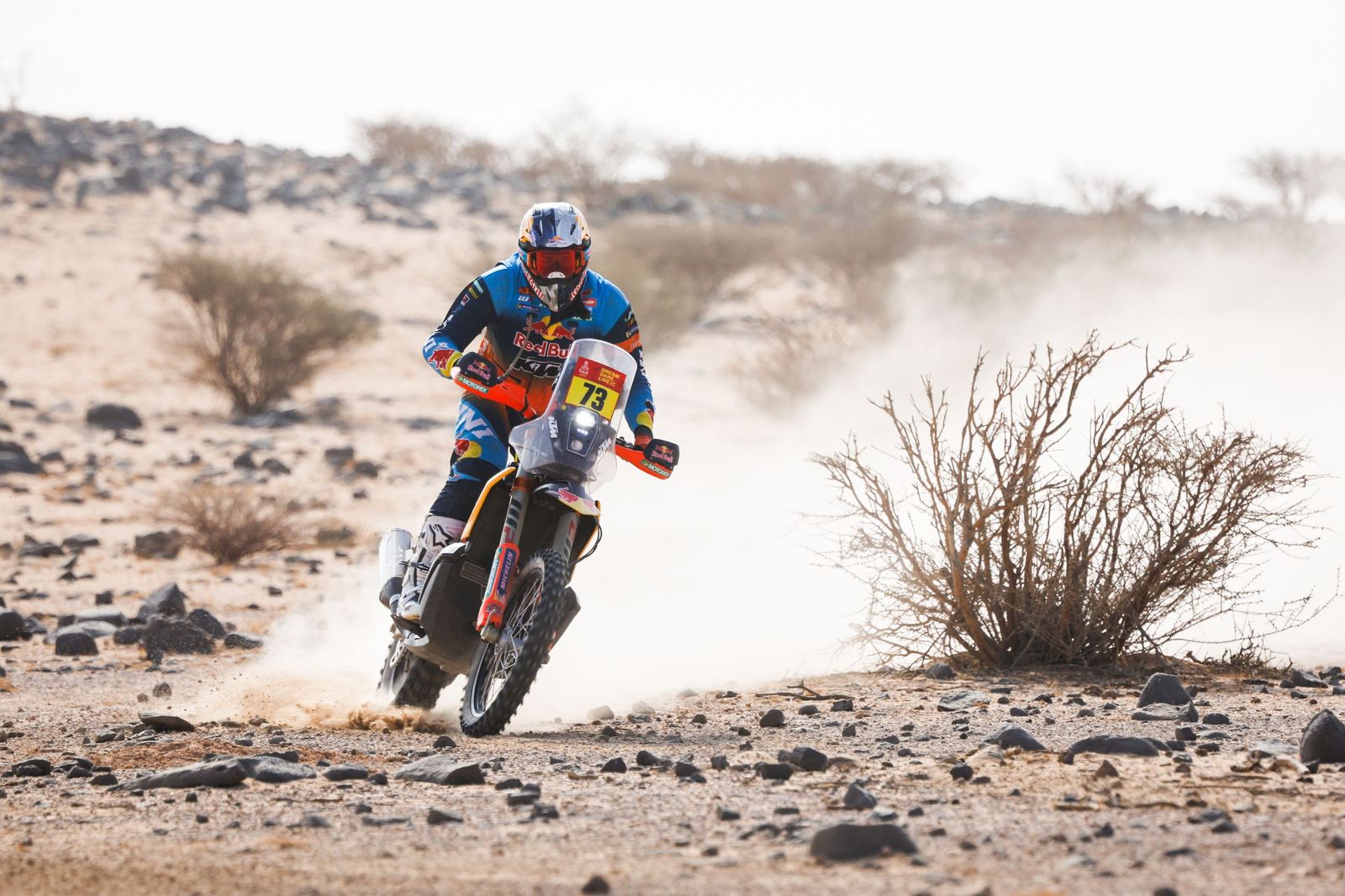 Las mejores fotos del Rally Dakar | undécima etapa