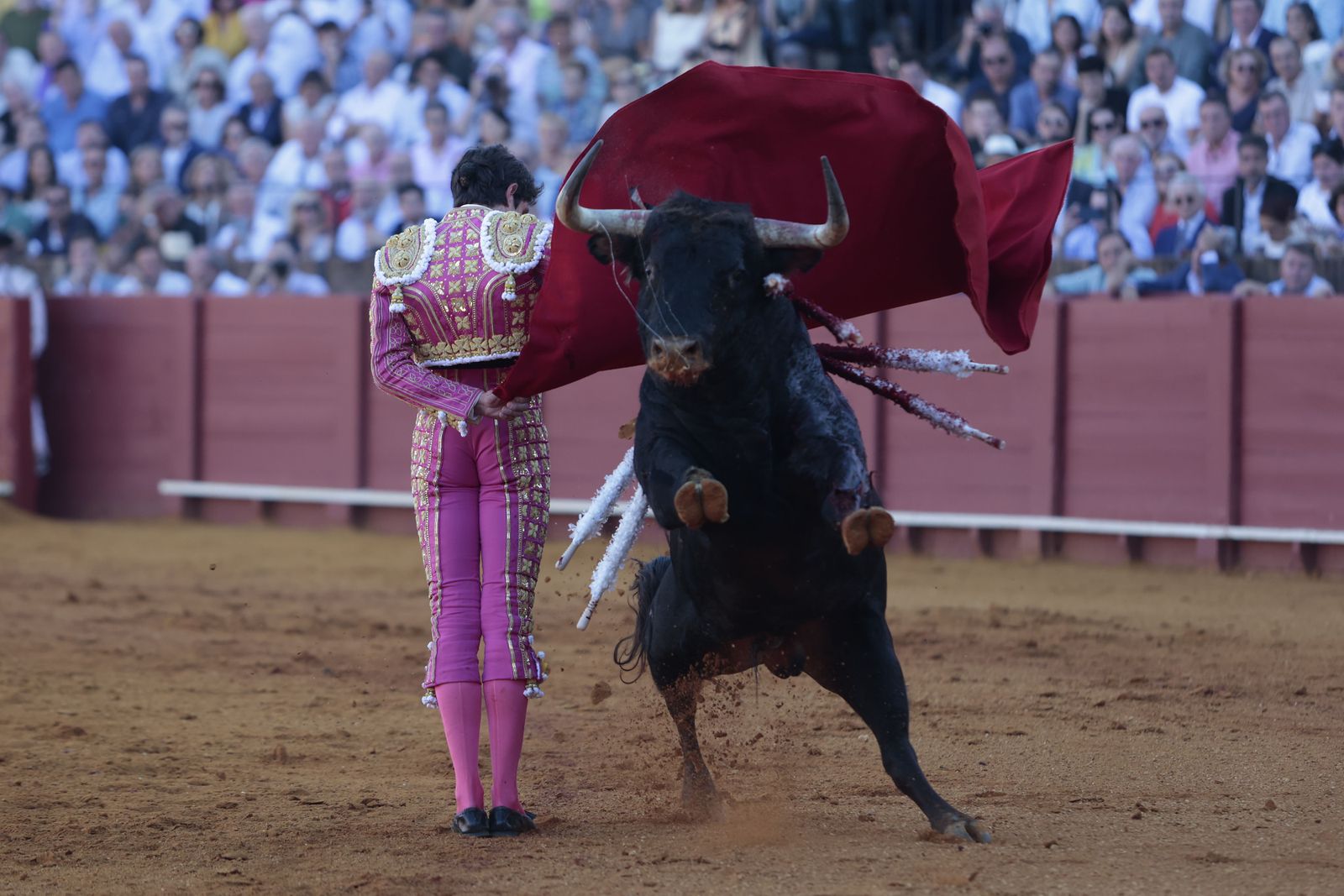 El triunfo de Castella en imágenes