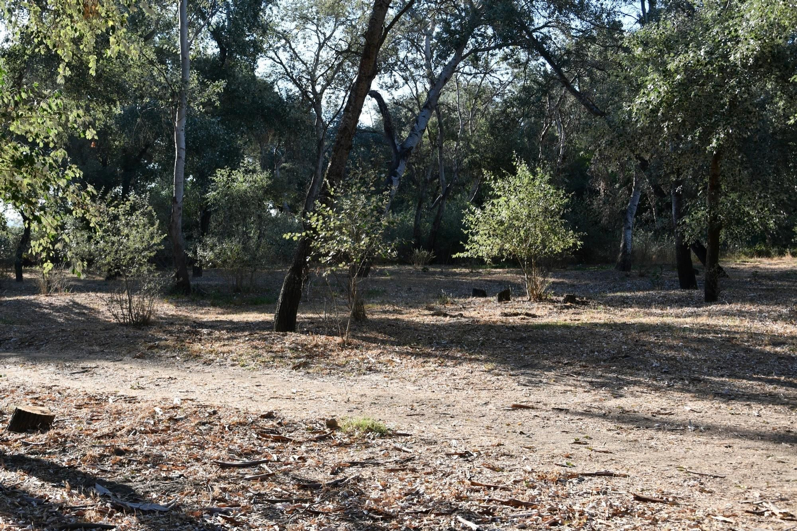 Zona recreativa en San Roque