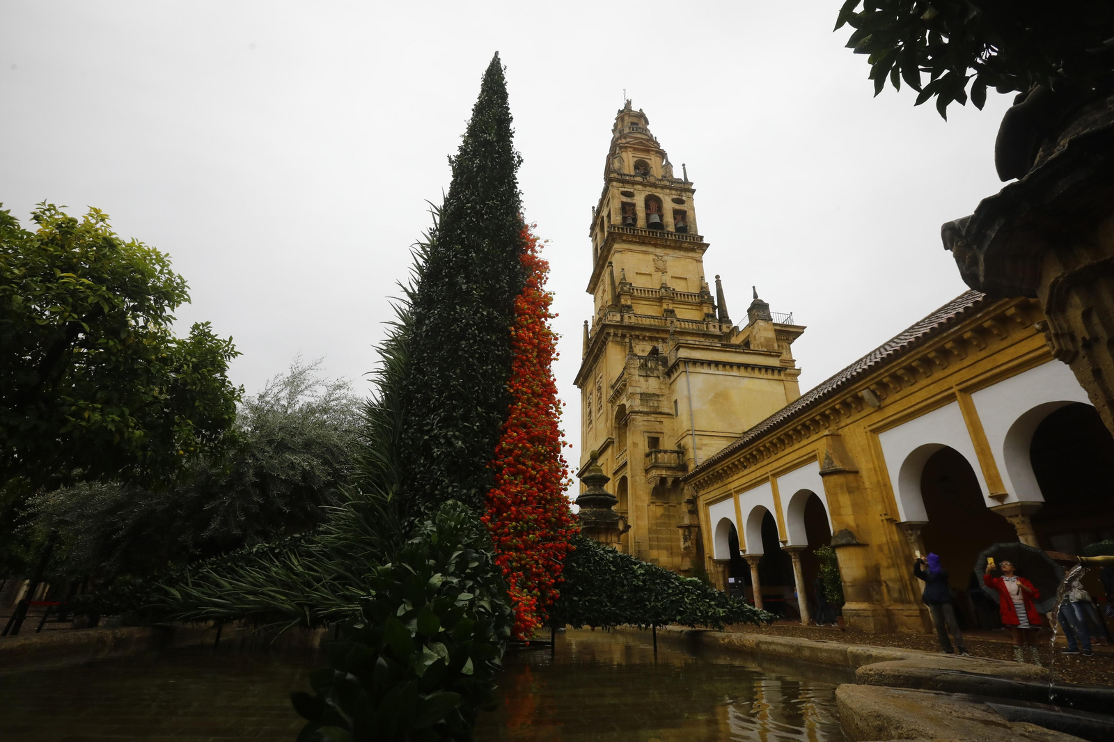 La apertura de las creaciones de Flora en Córdoba, en imágenes