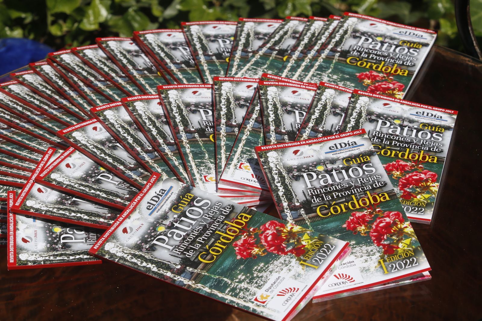 La presentación de la I Guía de Patios de la Provincia, en imágenes