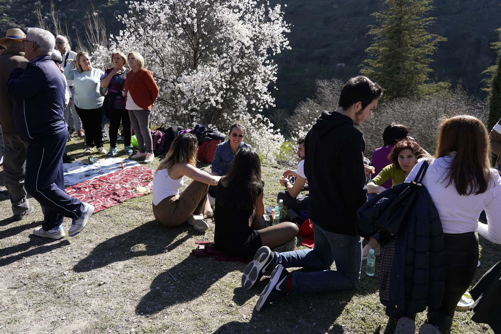 La romería de San Cecilio, en imágenes
