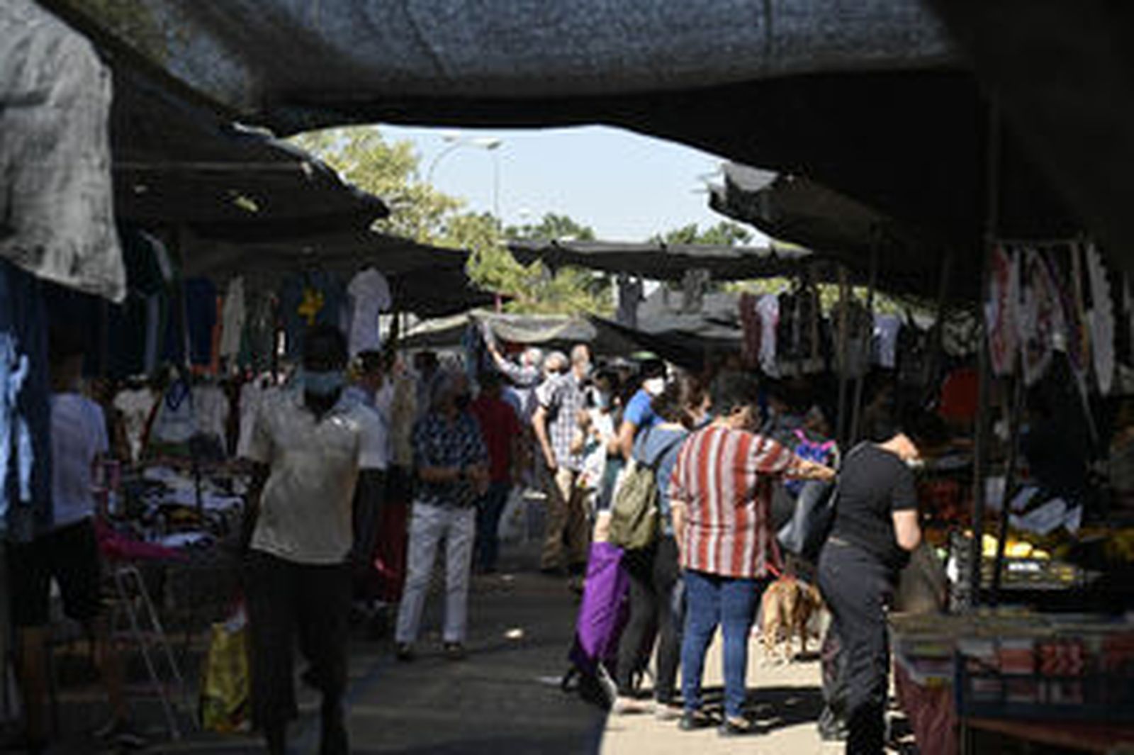 Fotos: así ha sido el regreso del mercadillo en el Zaidín de Granada