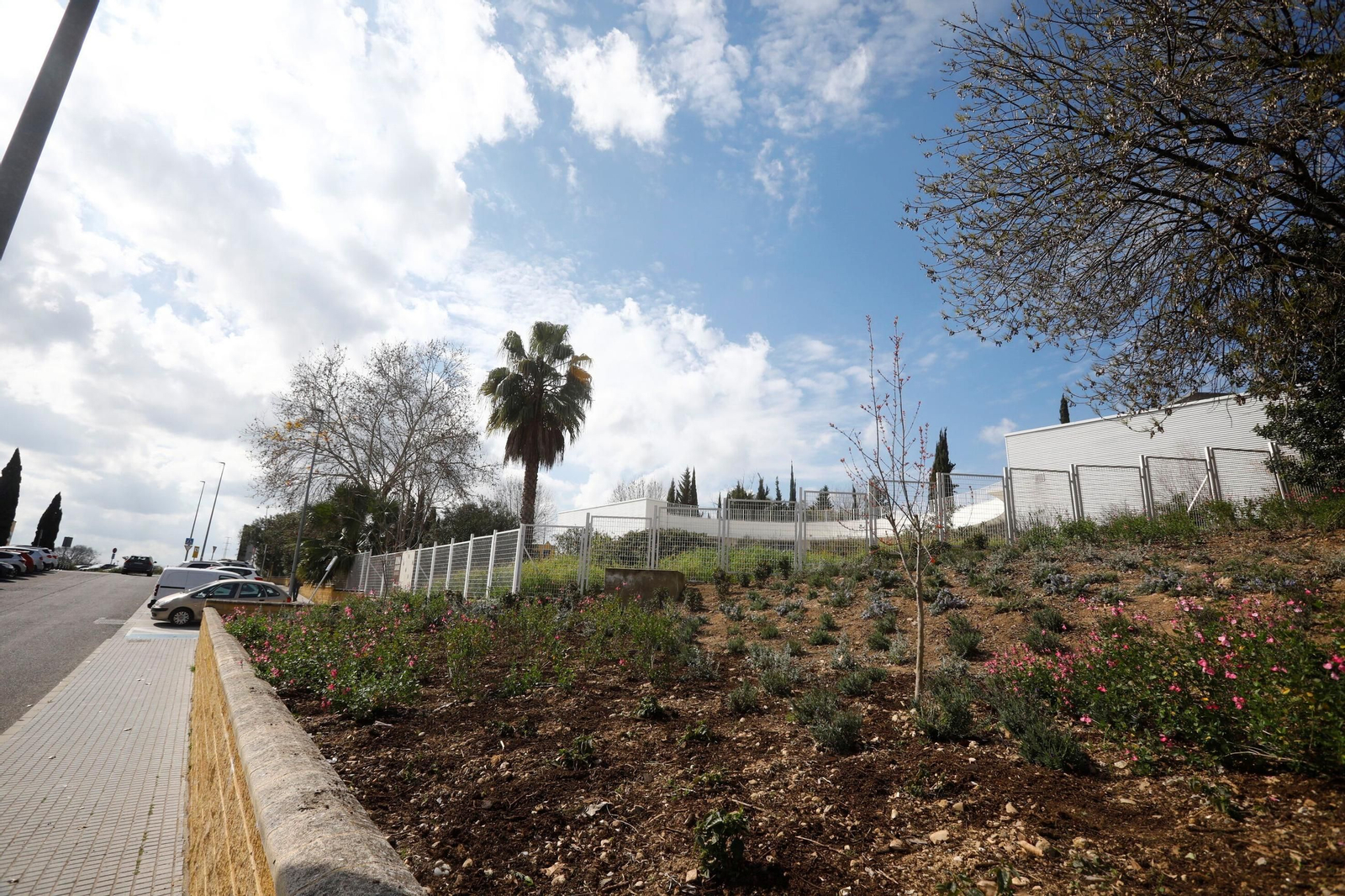 Las zonas verdes repobladas del Hospital Reina Sofía de Córdoba, en imágenes