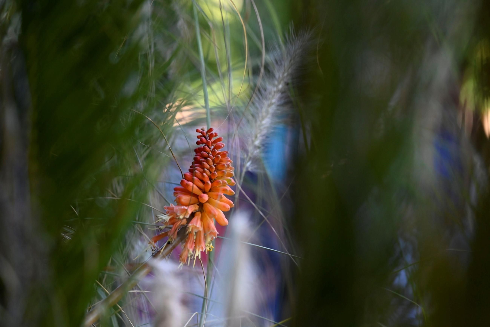 Las mejores fotos del Festival Flora 2024 de Córdoba