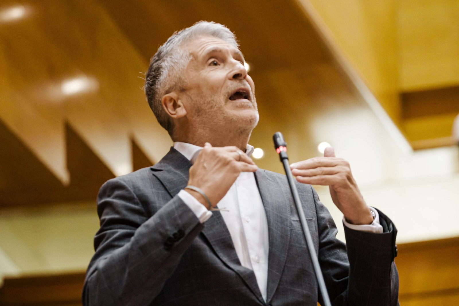 Fernando Grande-Marlaska, en la sesión en el Senado.