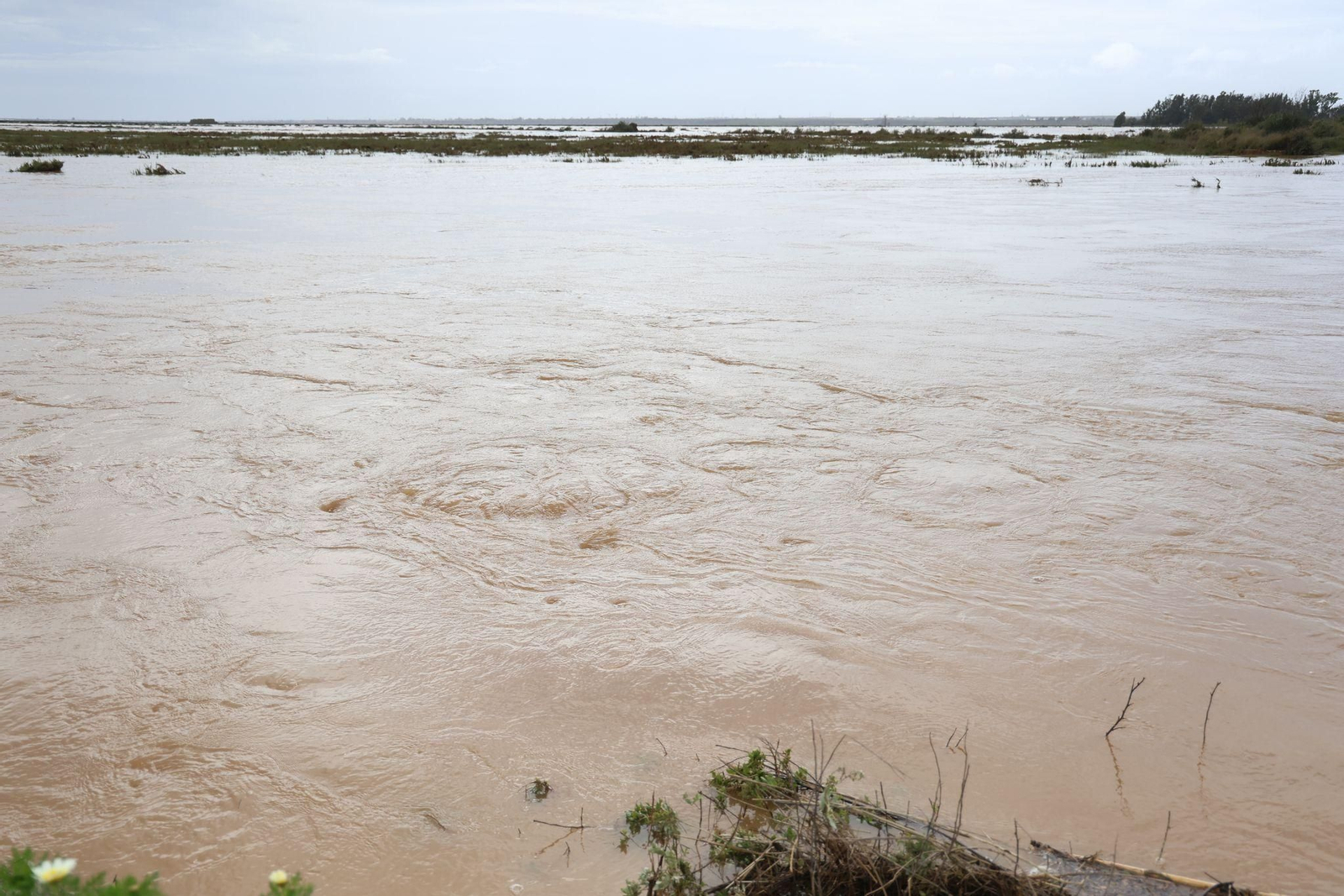 Imágenes de las inundaciones en Gibraleón por la borrasca Laurence este lunes