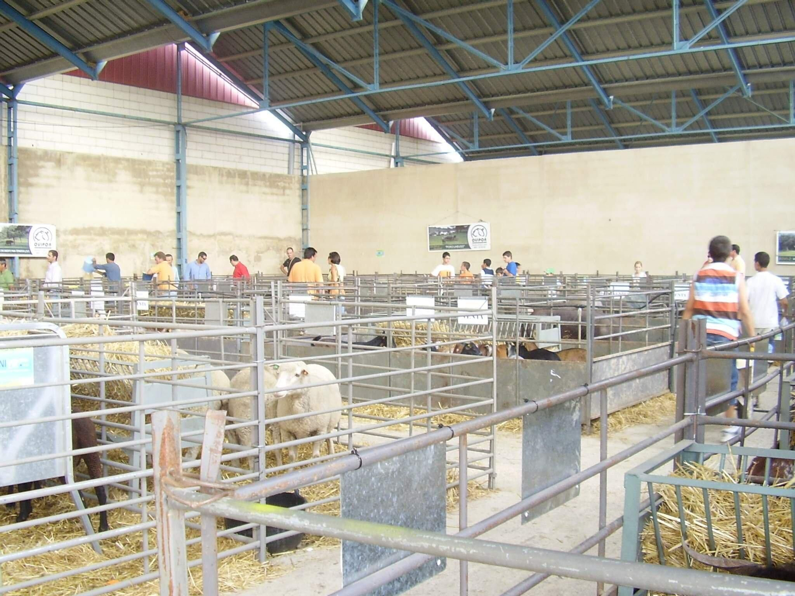 Una edición anterior de la Feria Ganadera de Aroche