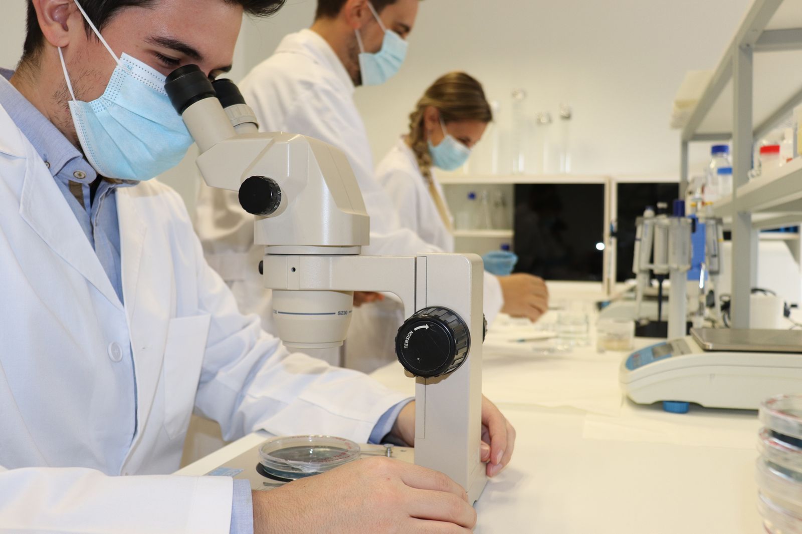 Trabajo de investigación de Cellbitec