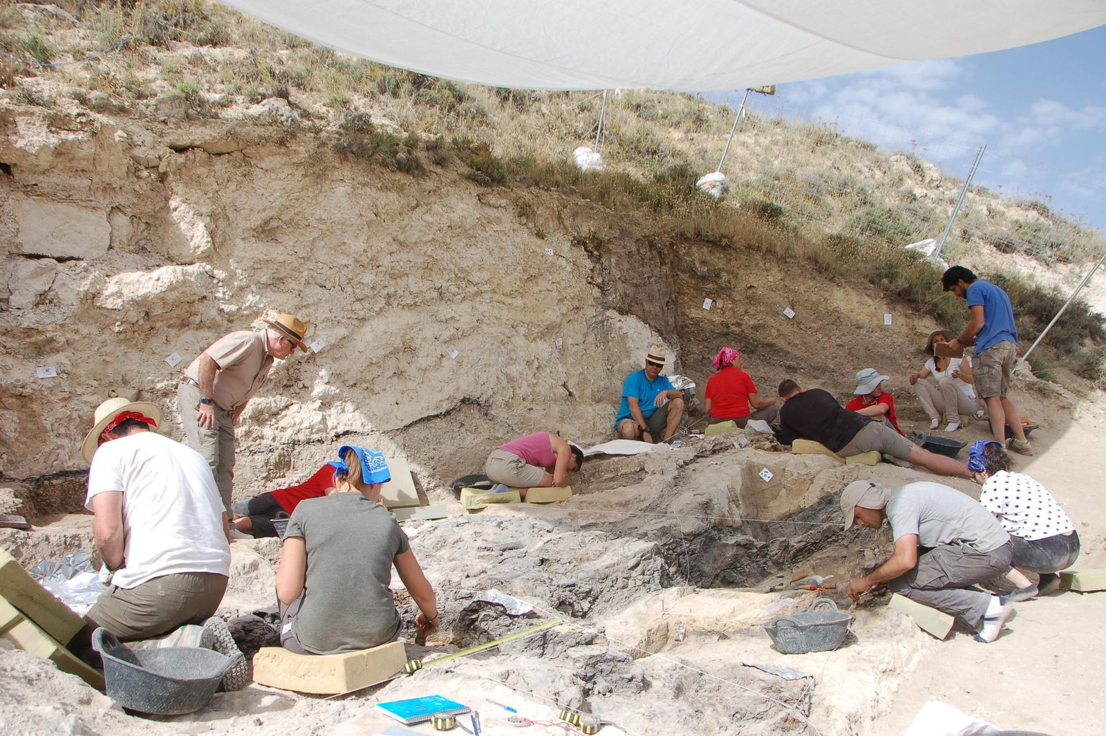 Arqueólogos que participan en el yacimiento pliocénico de Baza 1 trabajan por el terreno con los restos.