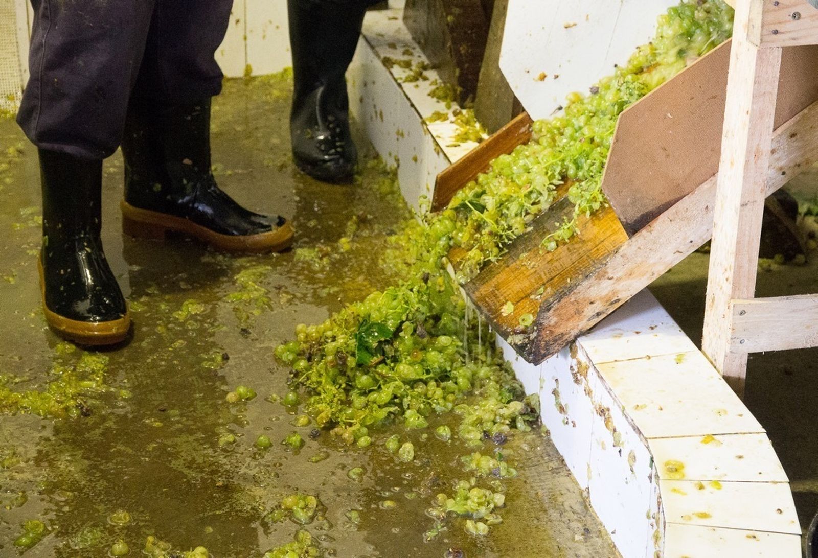 Interior de la bodega Loreto, una de las  que se podrá visitar a partir de mañana.