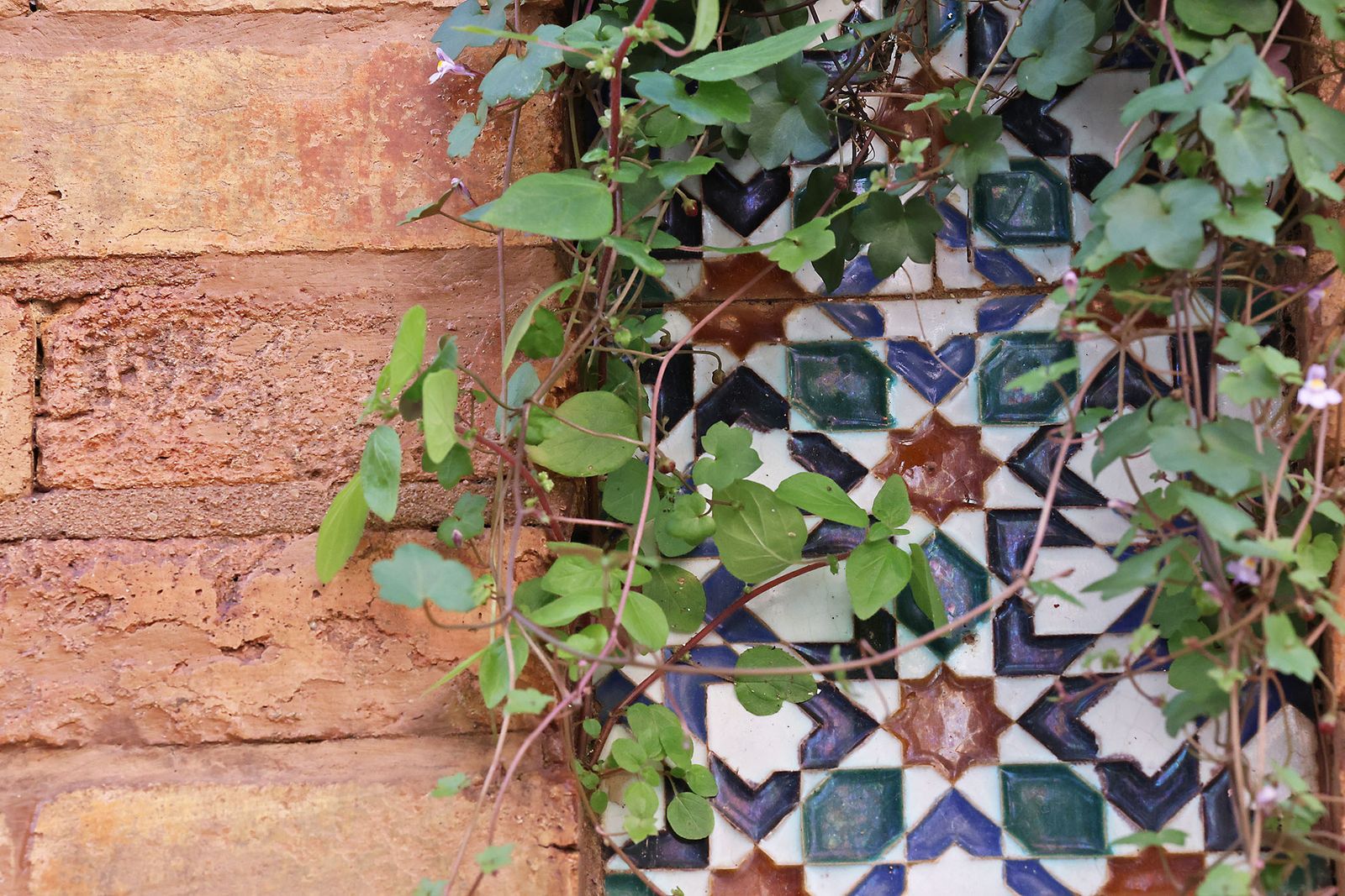 Las imágenes más destacadas del lunes 1 de abril en Huelva