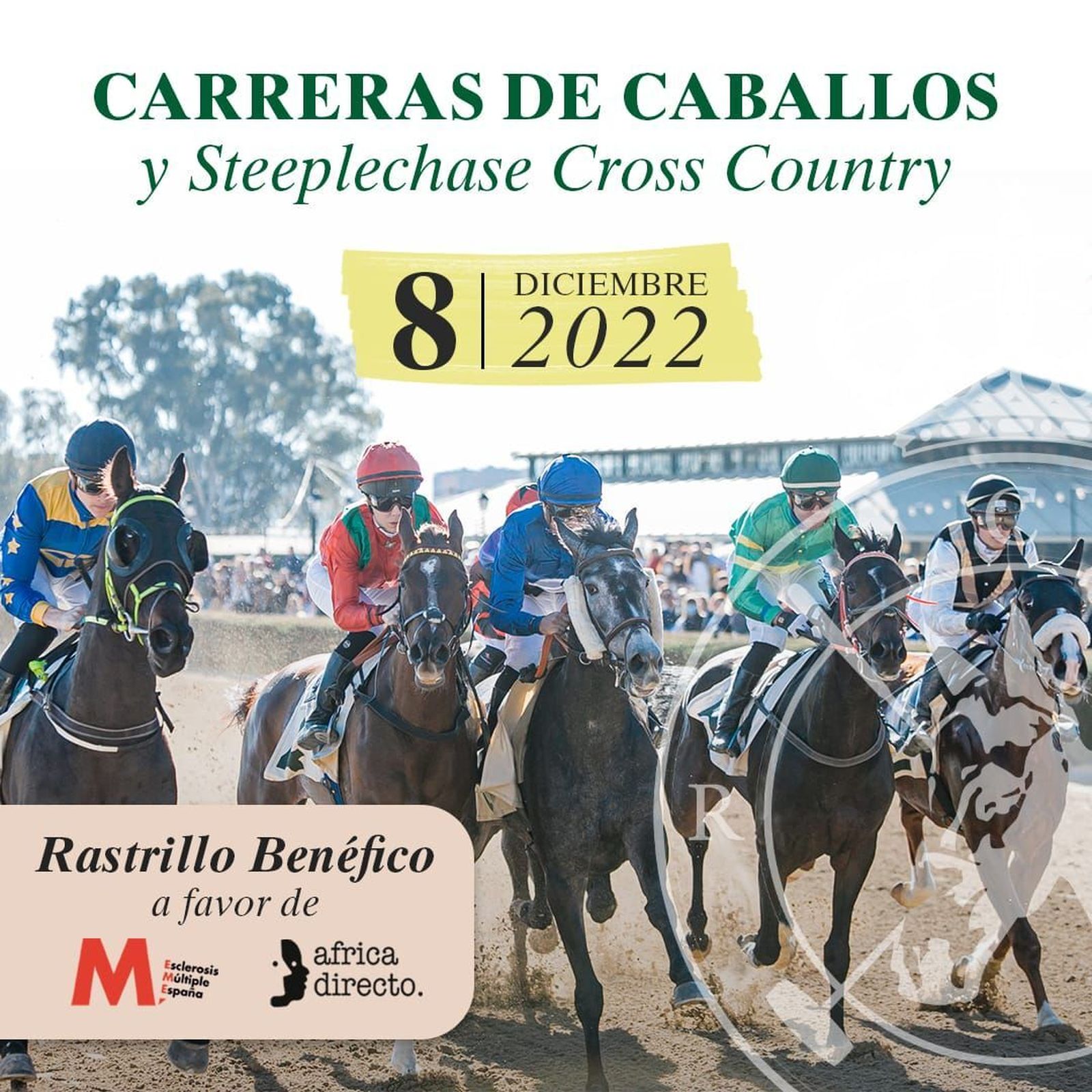 Cartel anunciador de la jornada festiva en el Real Club Pineda.