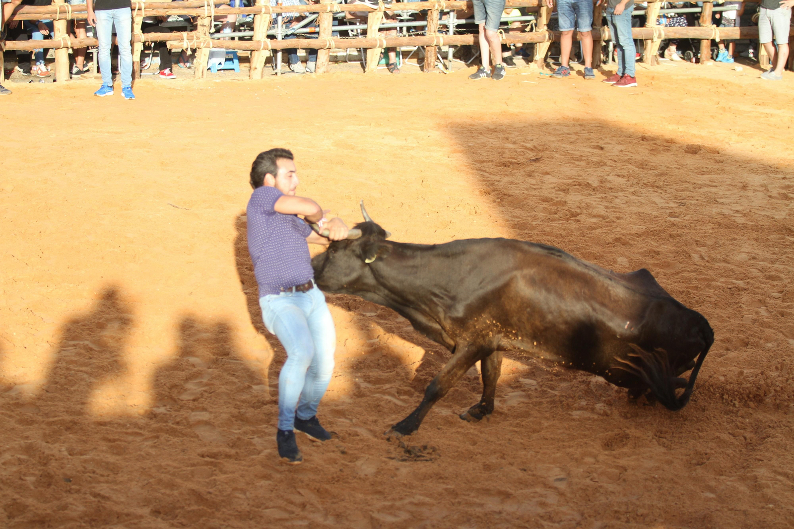 Comienzan las capeas en San Juan del Puerto