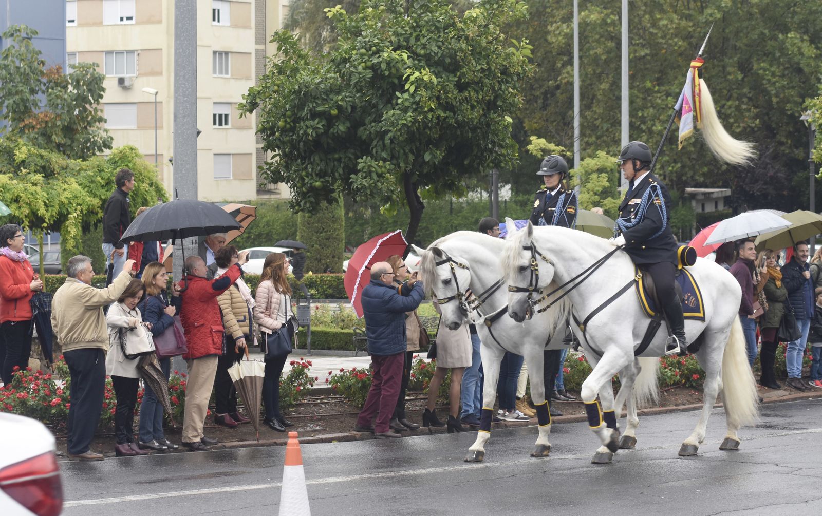 Las imágenes de la Magna Marcha Ecuestre