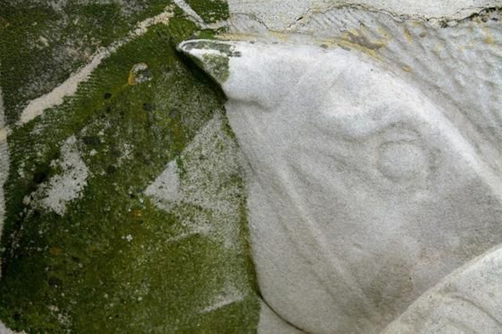 Foto: Julio Gonzalez