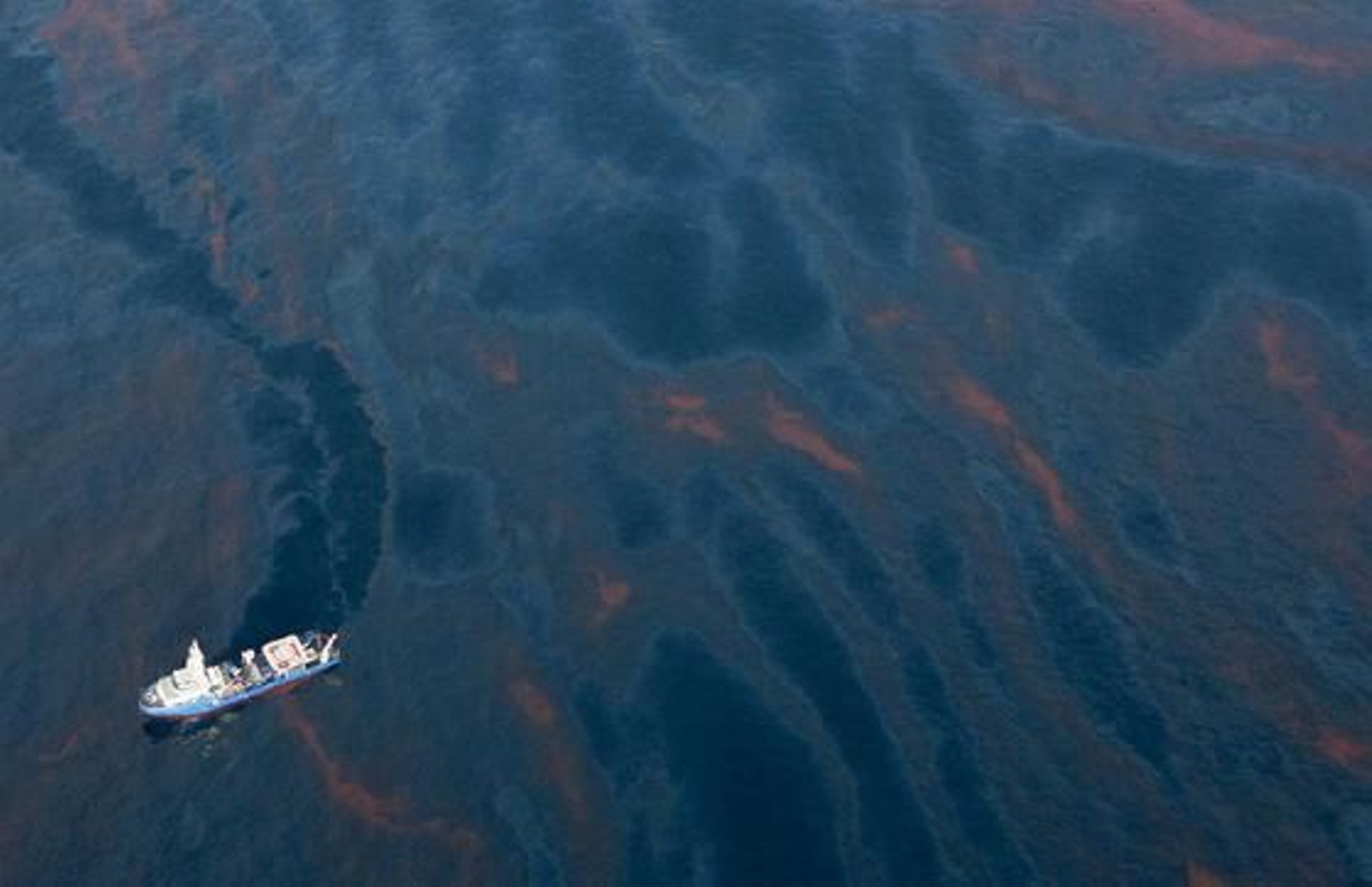 El petróleo vertido en el Golfo de México por una plataforma petrolífera amenaza las costas estadounidenses de Luisiana.

Foto: Sean Gardner / Greenpeace HAN /EFE