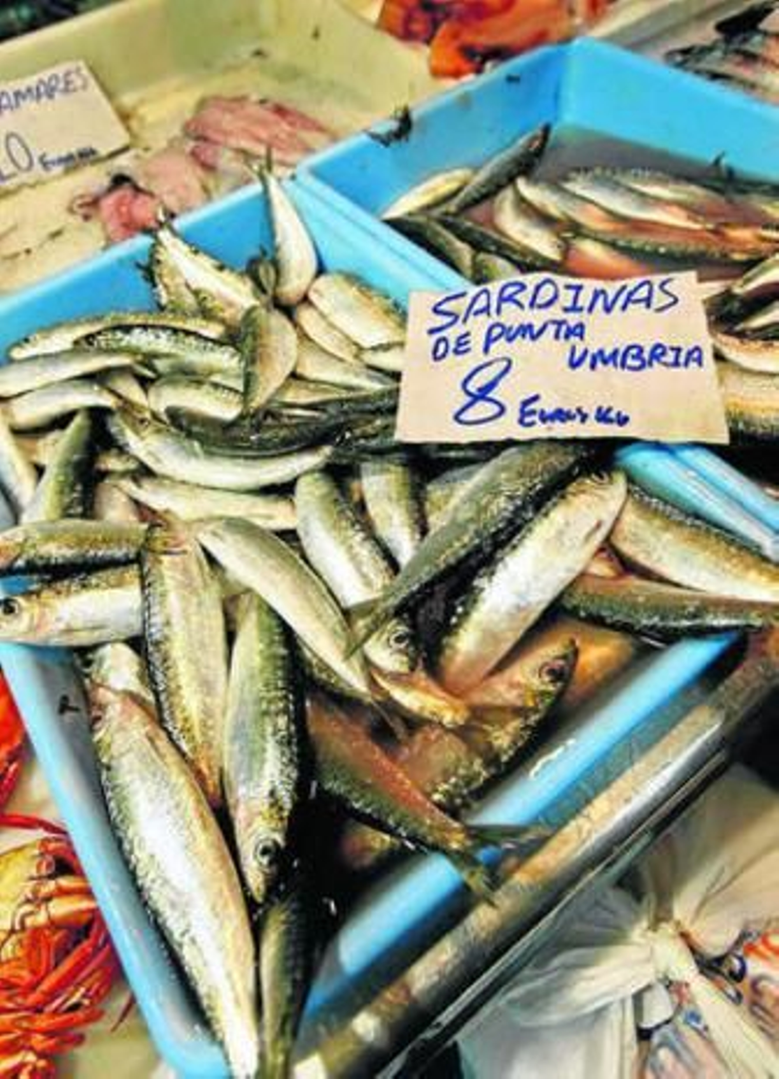 Sardinas en un puesto del mercado de abastos.