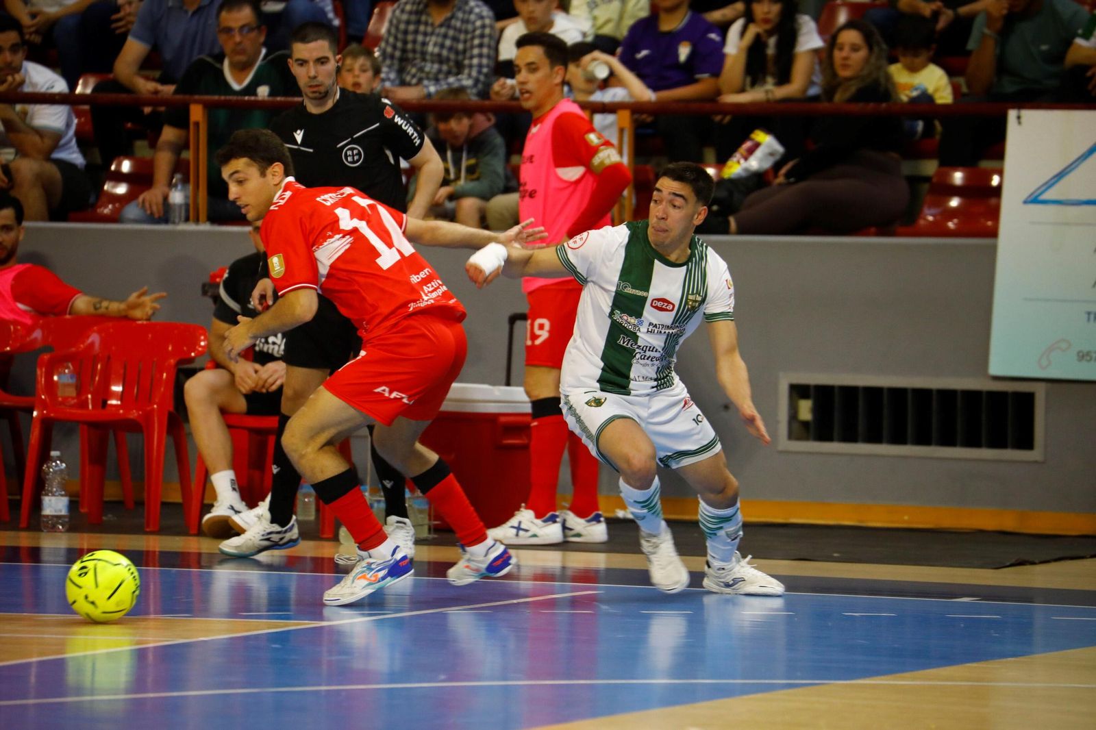 Las mejores fotos del ambiente en Vista Alegre para el Córdoba Futsal - Jimbee Cartagena