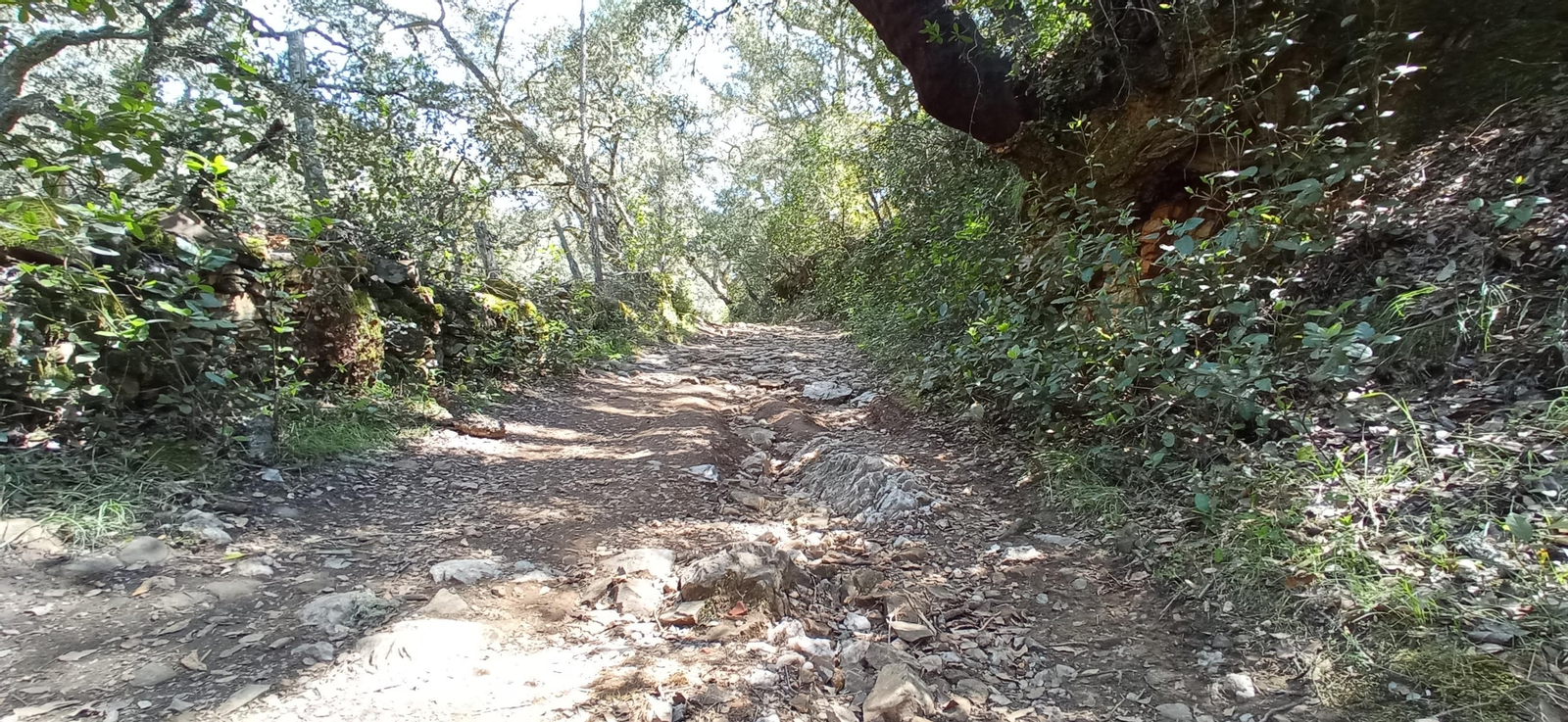 Las imágenes de la ruta de las casas de los Tres Cerditos