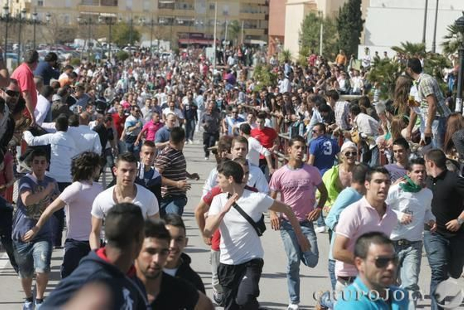 Foto: J.M.Q./Erasmo Fenoy