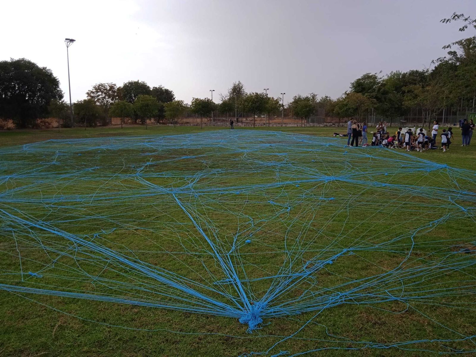 Jardín azul en el campus de la Universidad Loyola.