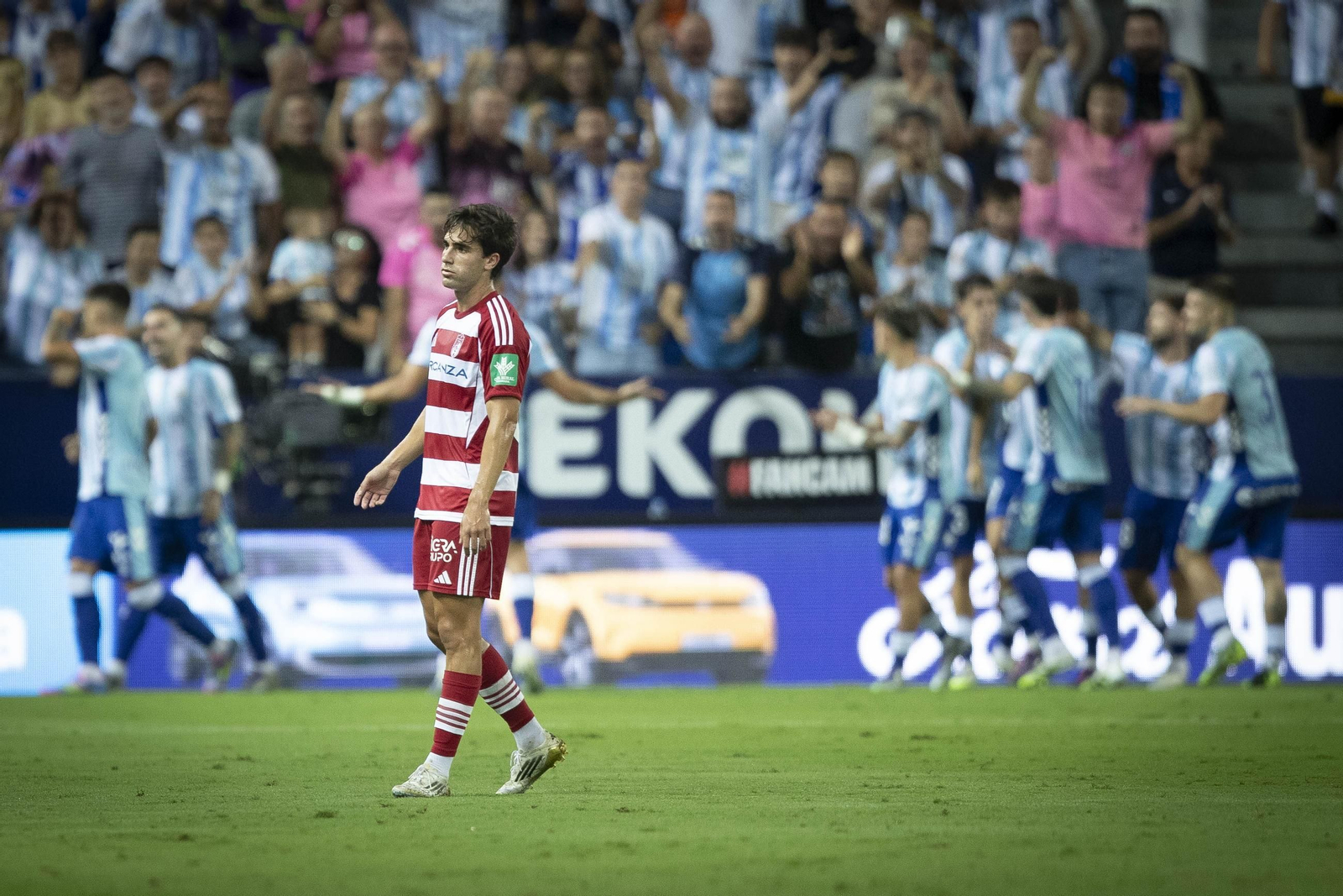 Decepción en el Granada tras un gol del Málaga en La Rosaleda
