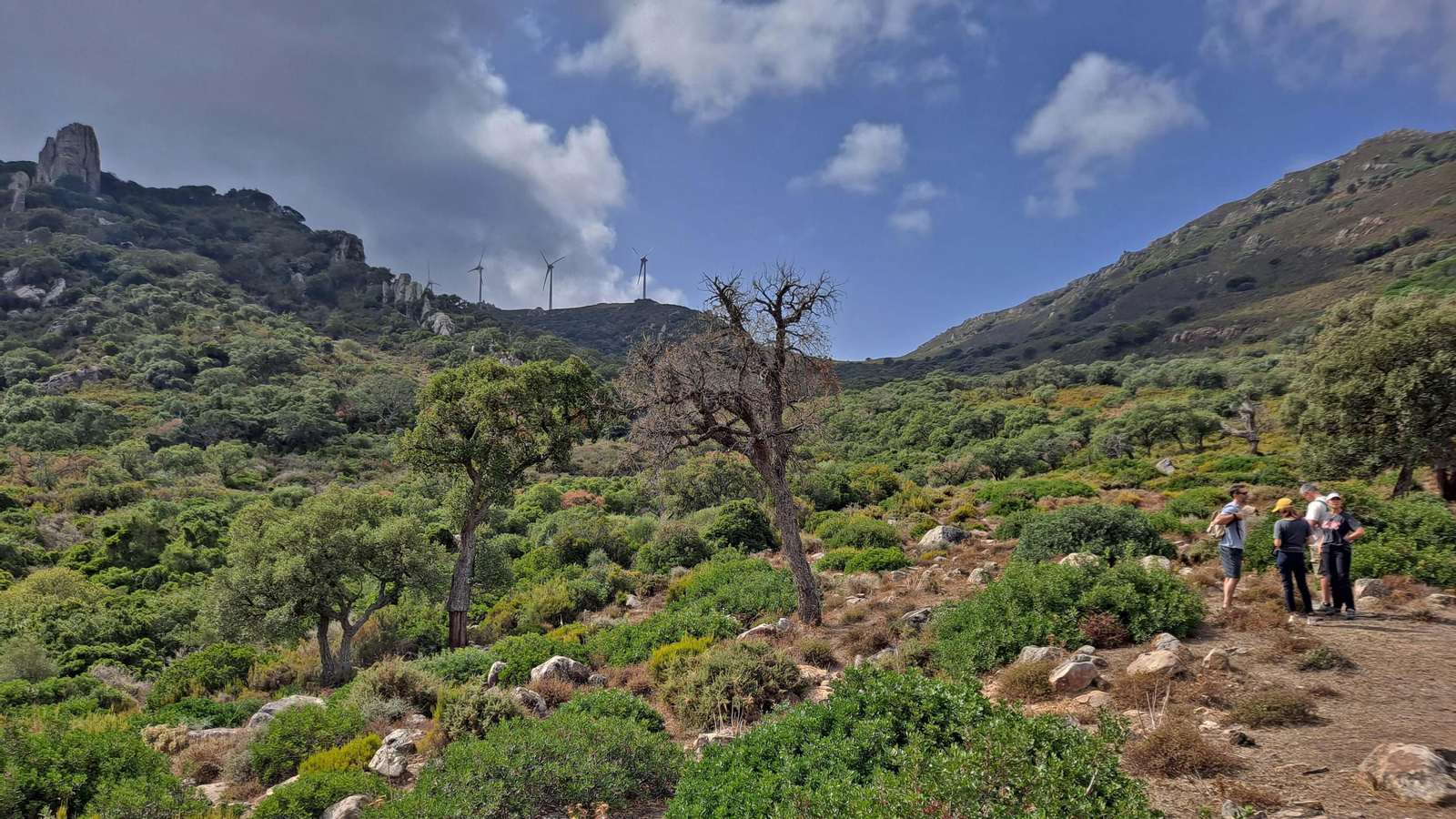 Fotos del sendero de la garganta del Rayo en Tarifa