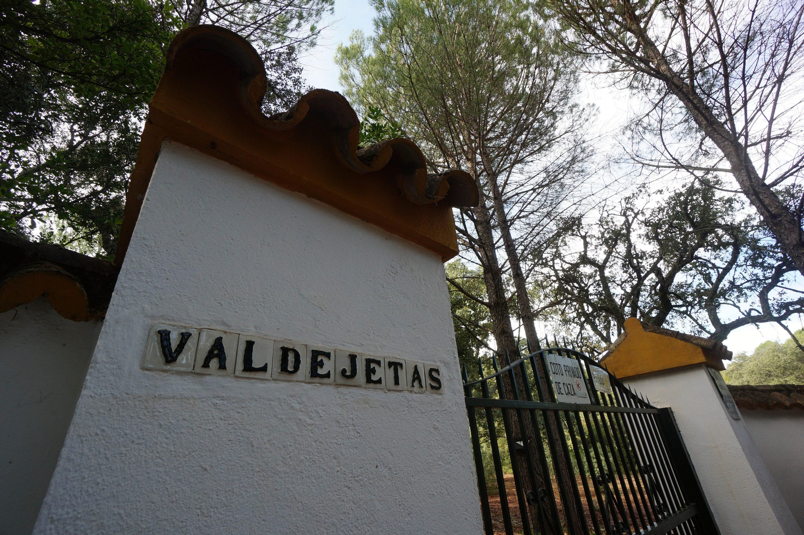Un paseo en fotografías por el castañar de Valdejetas en la Sierra de Córdoba