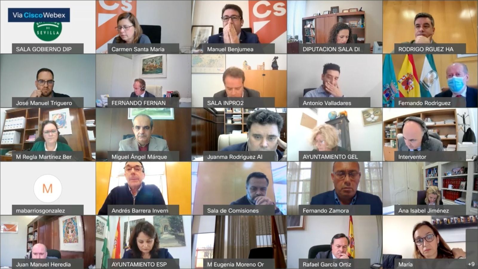 Un momento del Pleno telemático de este jueves, en la Diputación.