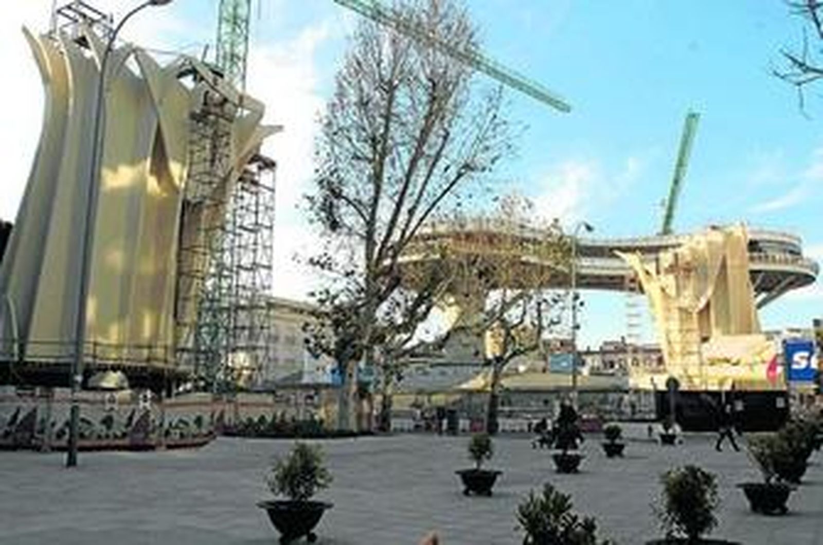 Panorámica de los troncos del Parasol en la Plaza de la Encarnación, parcialmente abierta al tránsito.