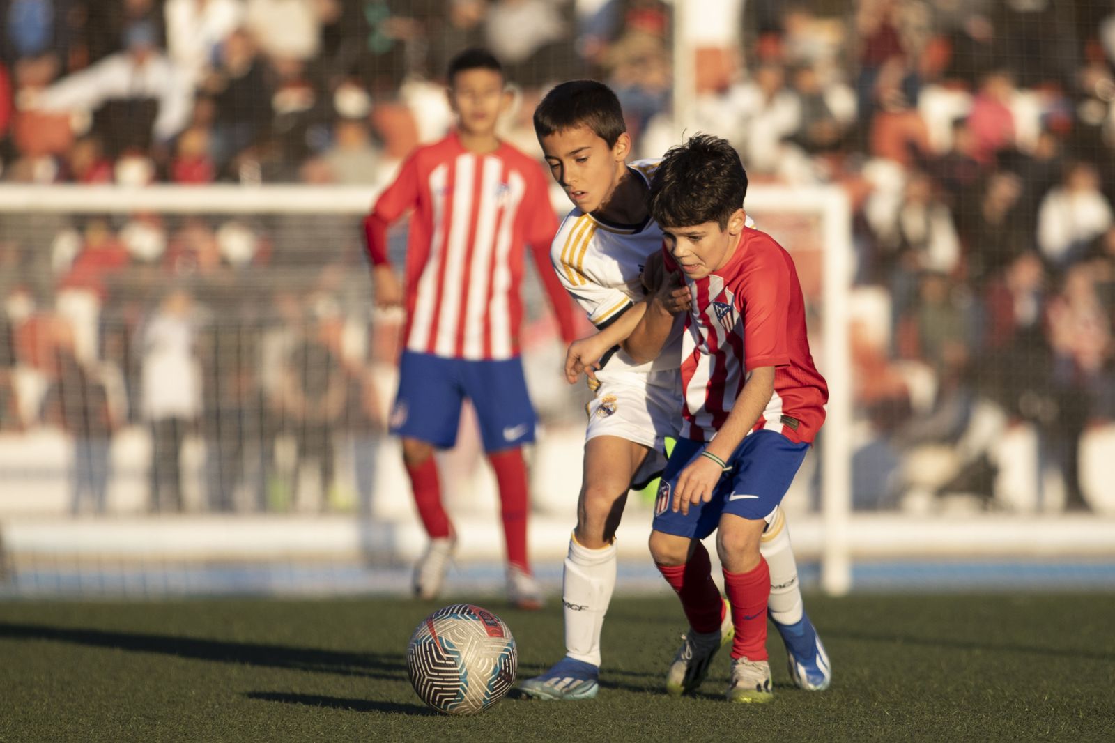Las mejores imágenes del Torneo Internacional de Pinos Puente