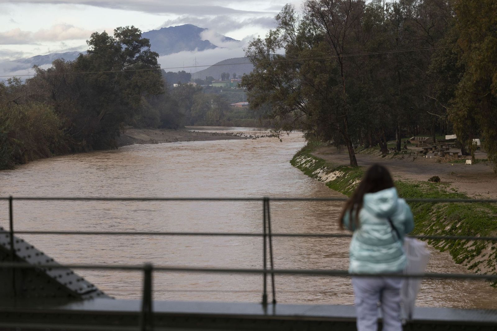 Histórica crecida del río Guadalhorce a su paso por Cártama.