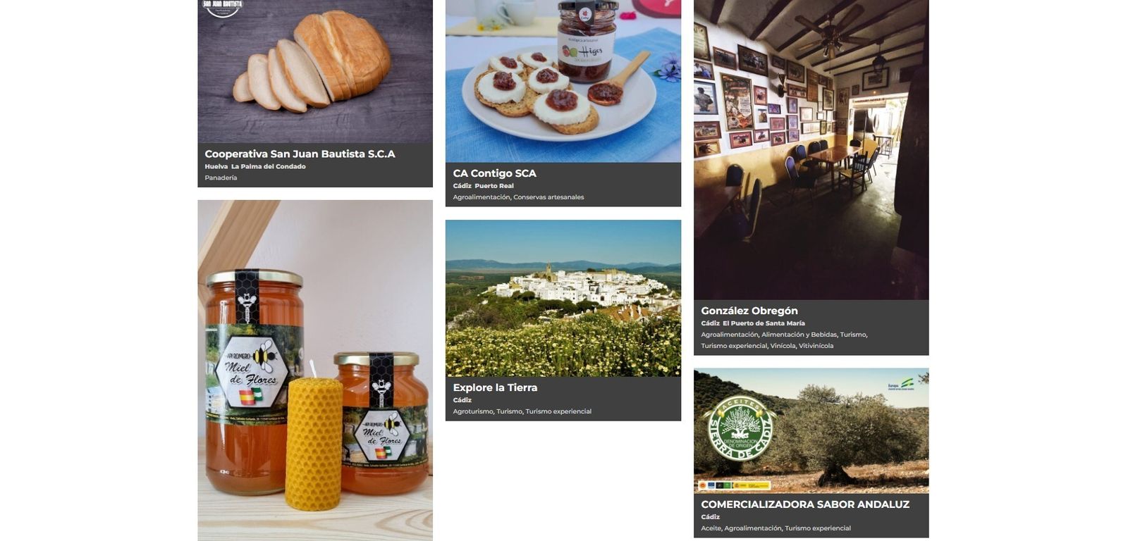 Empresas promocionadas por Interpyme.