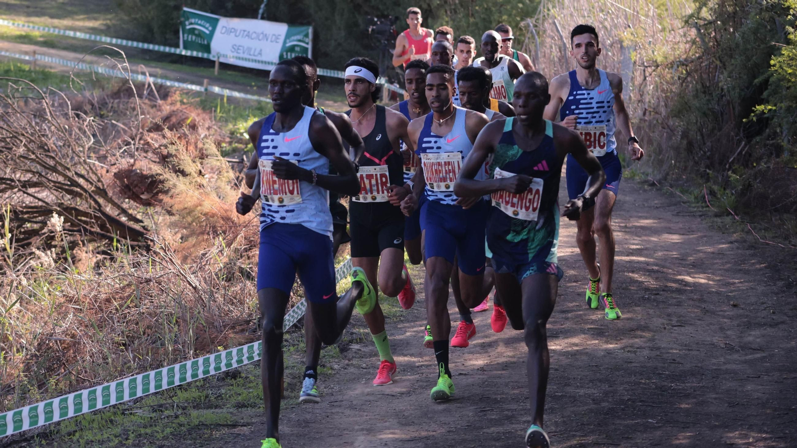 El evento tendrá lugar los días 16 y 17 de noviembre en Itálica.