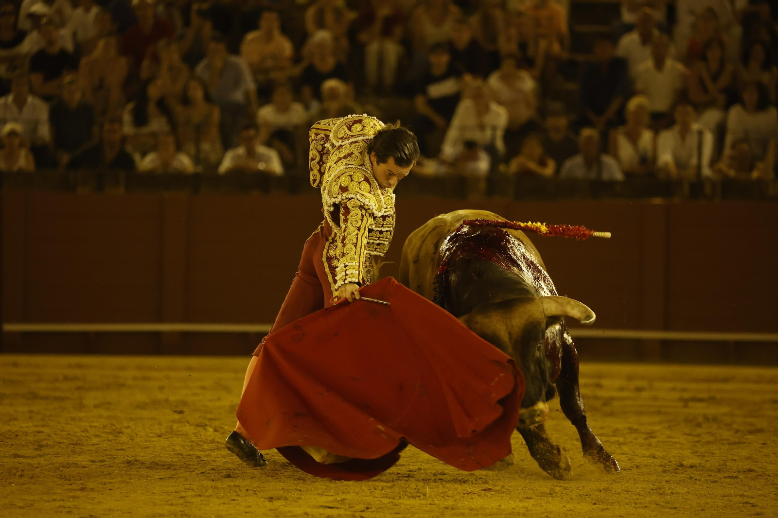 Las imágenes de la novillada en la Maestranza