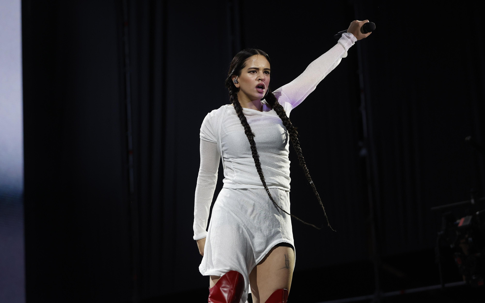 Las Imágenes del concierto de Rosalía