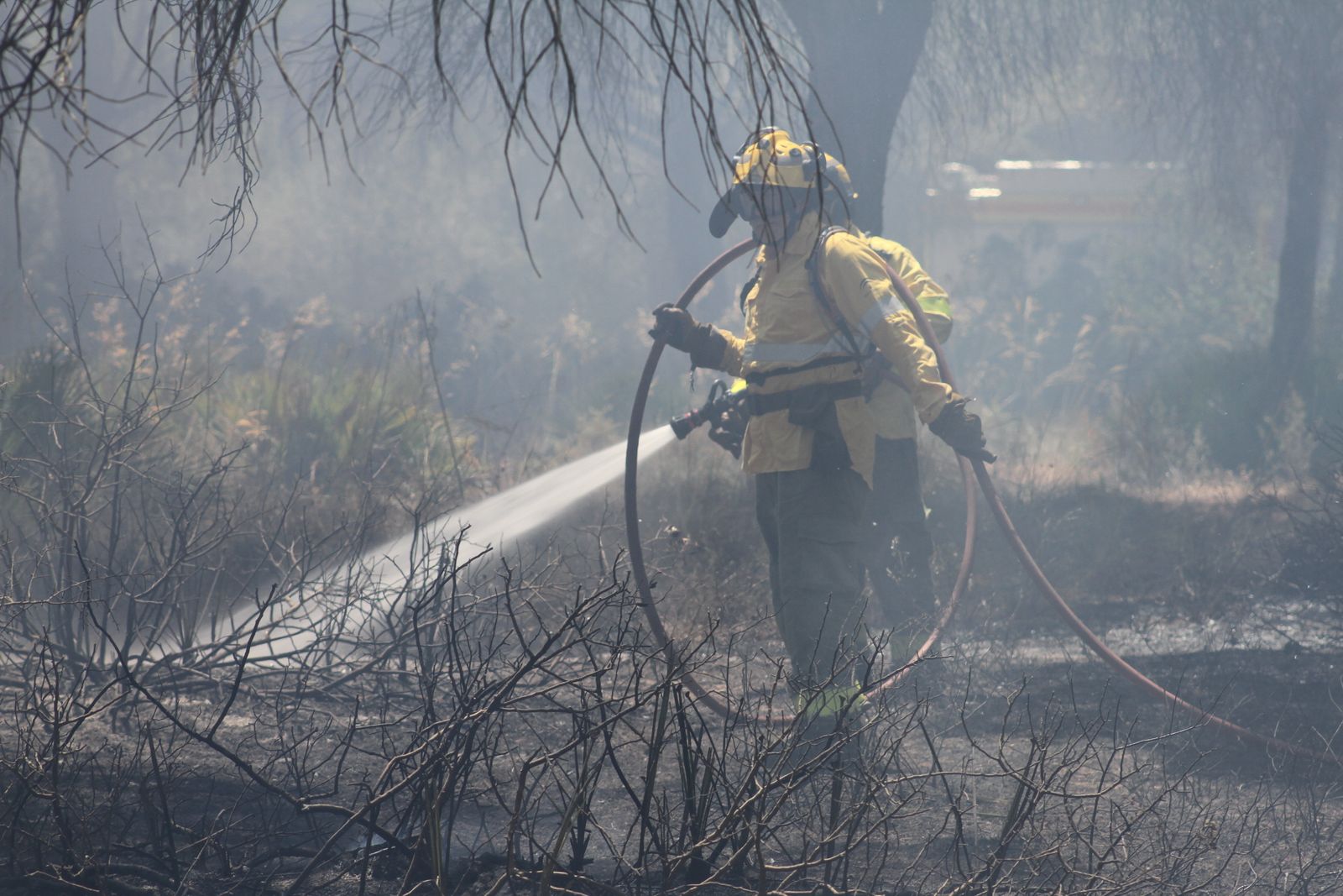 El incendio en el pinar de Roche, en imágenes