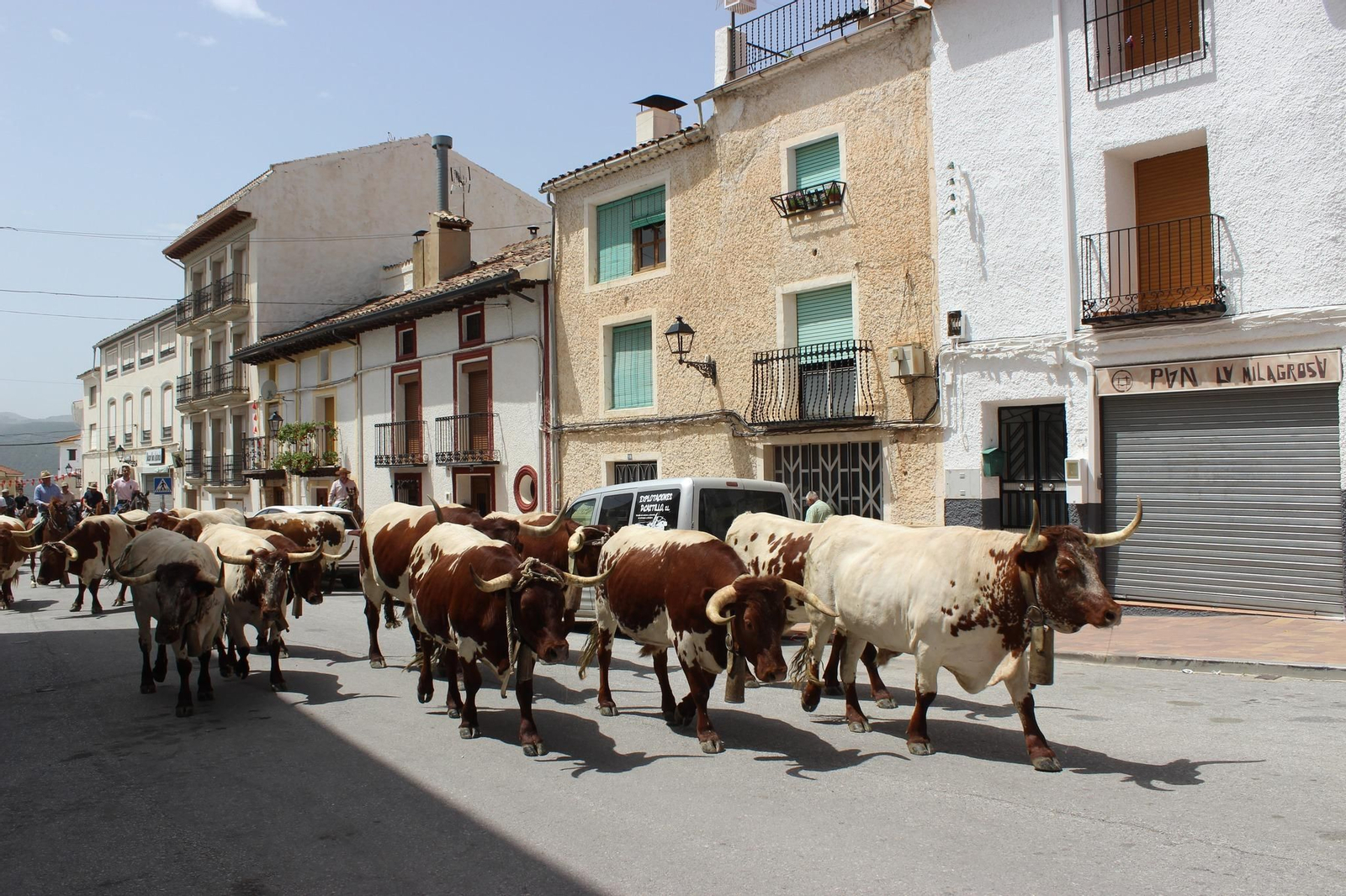 Identidad de la Feria de la Trashumancia de Santiago-Pontones, en imágenes