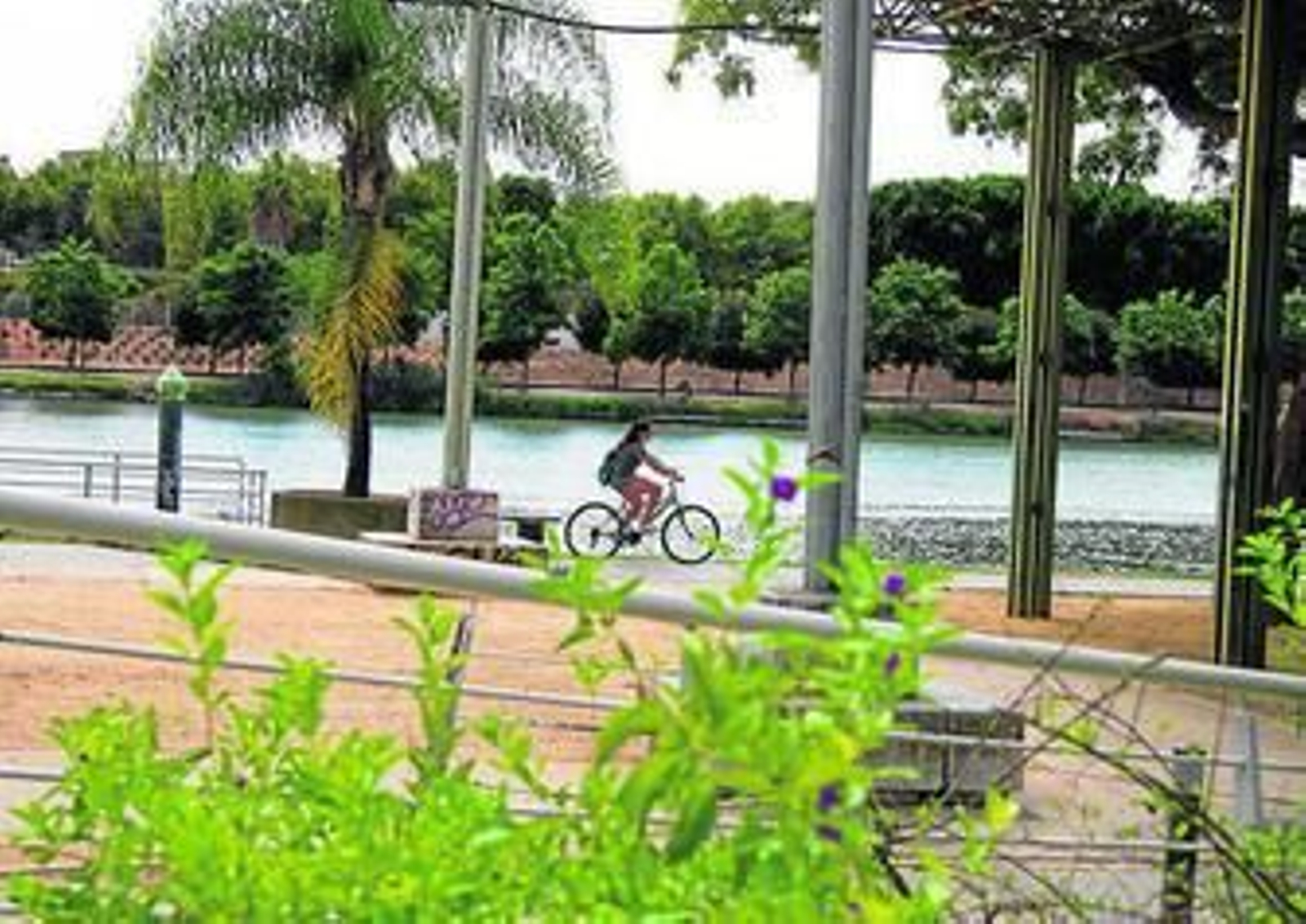 Una ciclista pasa por las pérgolas de los Jardines del Guadalquivir.