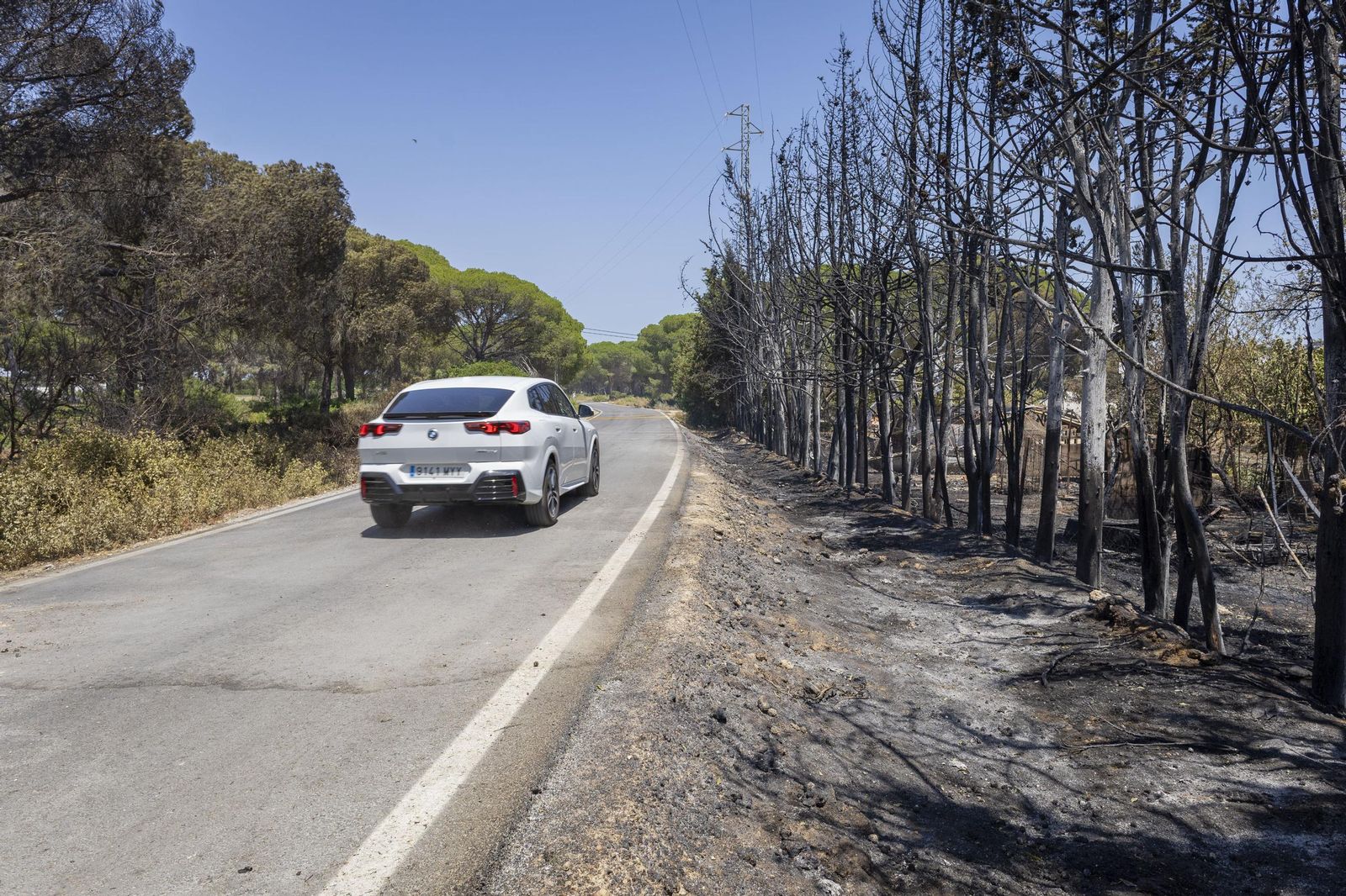 Las imágenes del incendio declarado junto a Roche, en Conil
