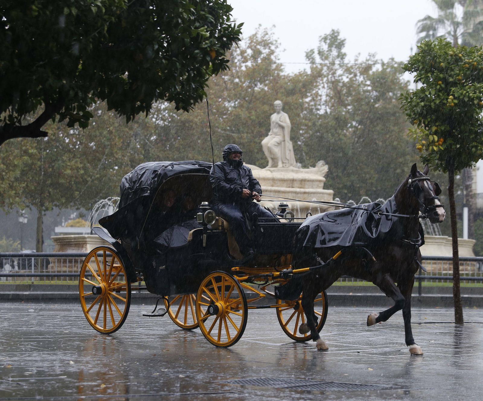 Las imágenes del temporal en Sevilla
