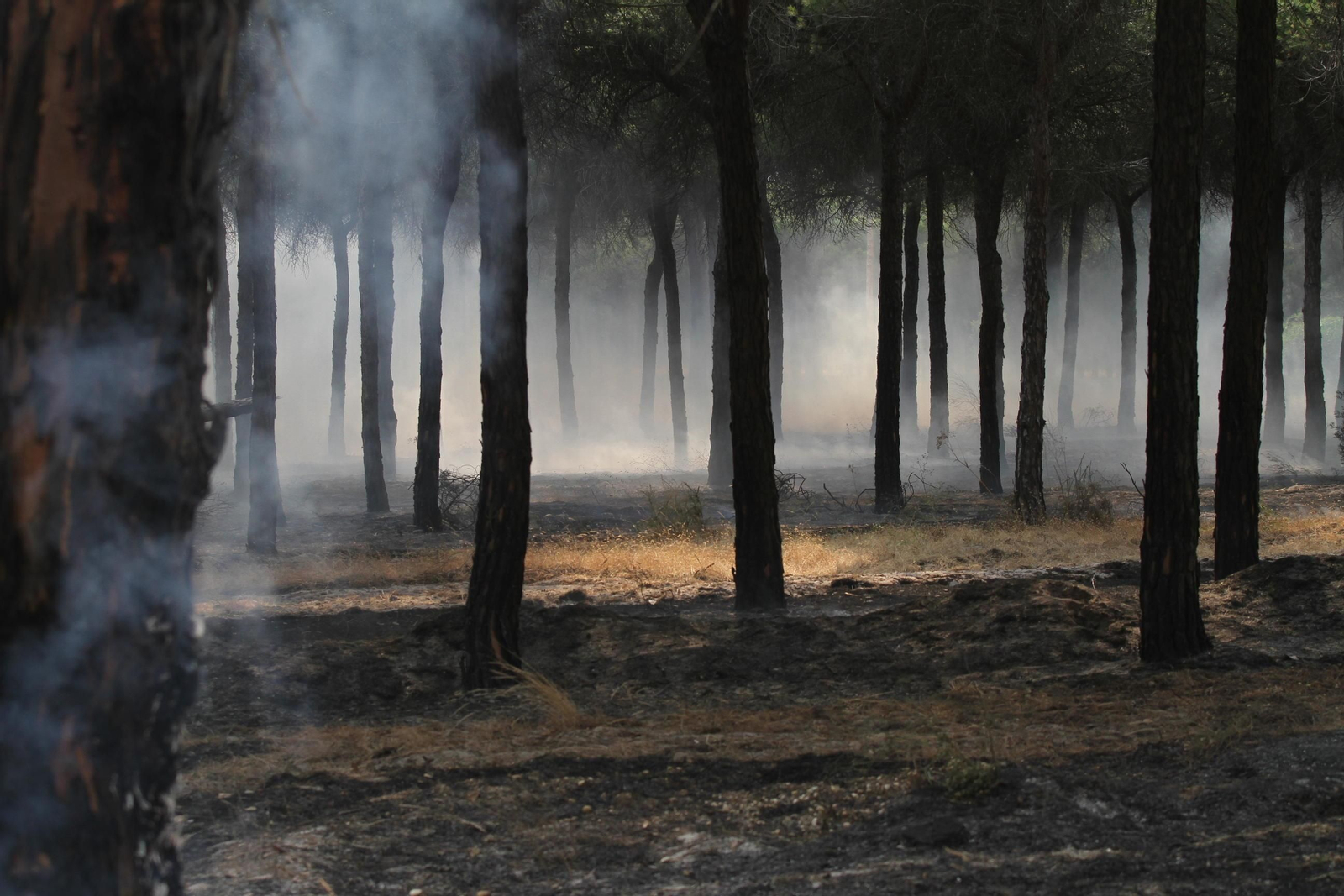 Las imágenes del incendio en Moguer y Mazagón