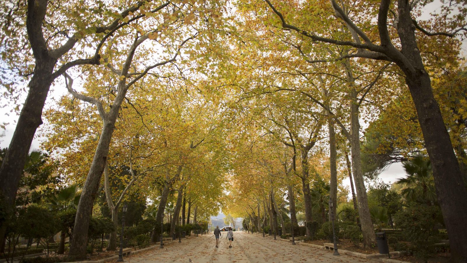 La Alameda del Tajo es digna de un paseo a lo 'Ulises'.